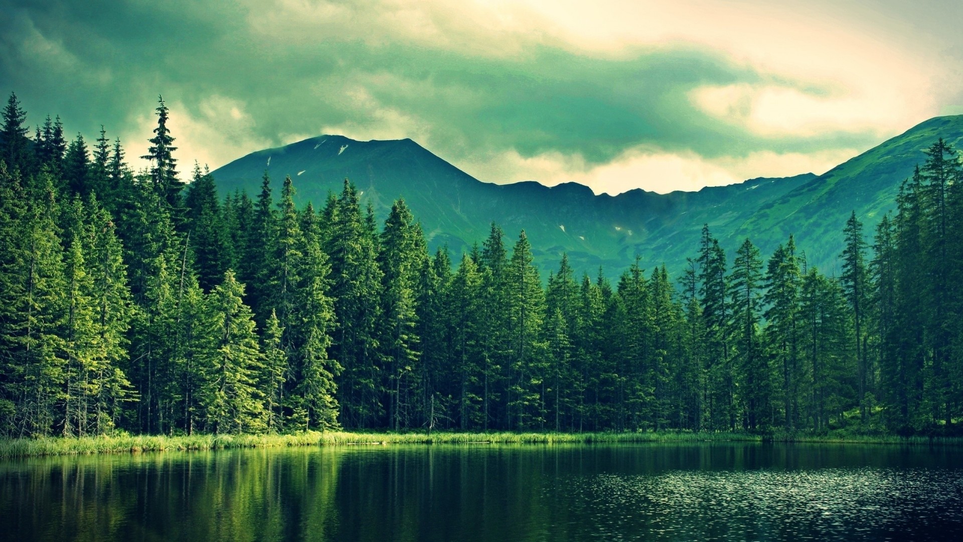 1920x1080  Wallpaper mountains, summer, lake, trees, forest