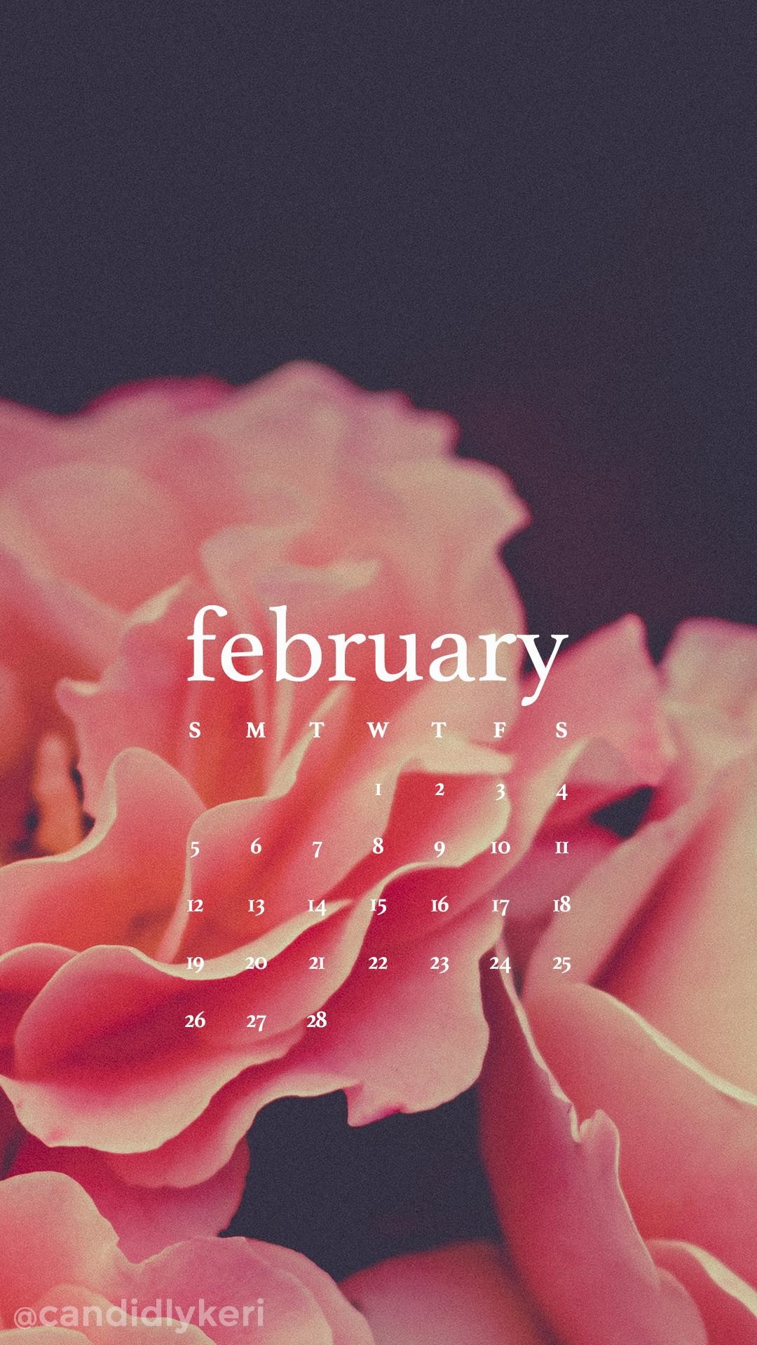 1080x1920 Pink-flowers-nature-February-calendar-you-can-download-