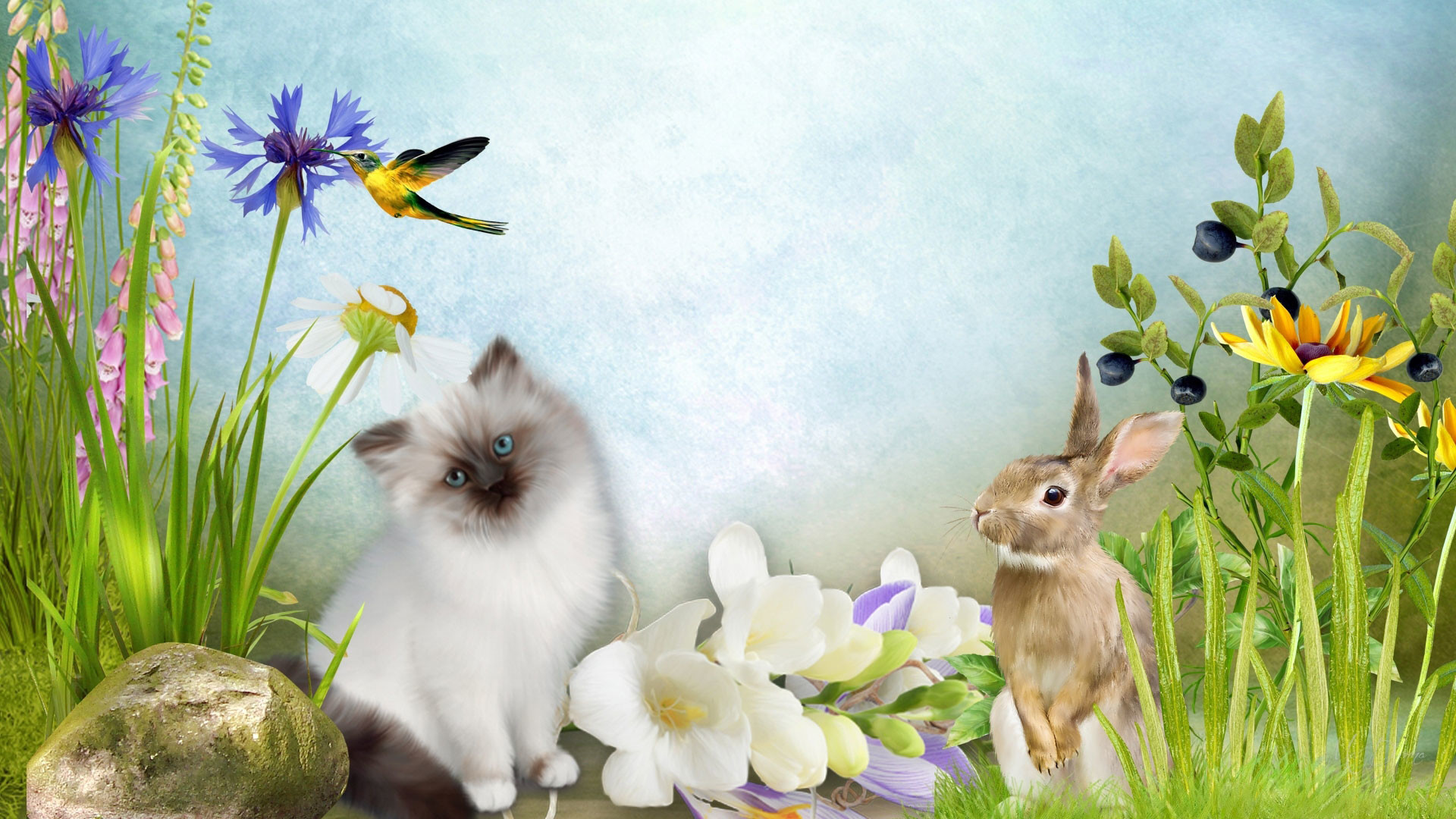 1920x1080 hd pics photos animated cat rabbit nature flowers birds hd quality desktop  background wallpaper