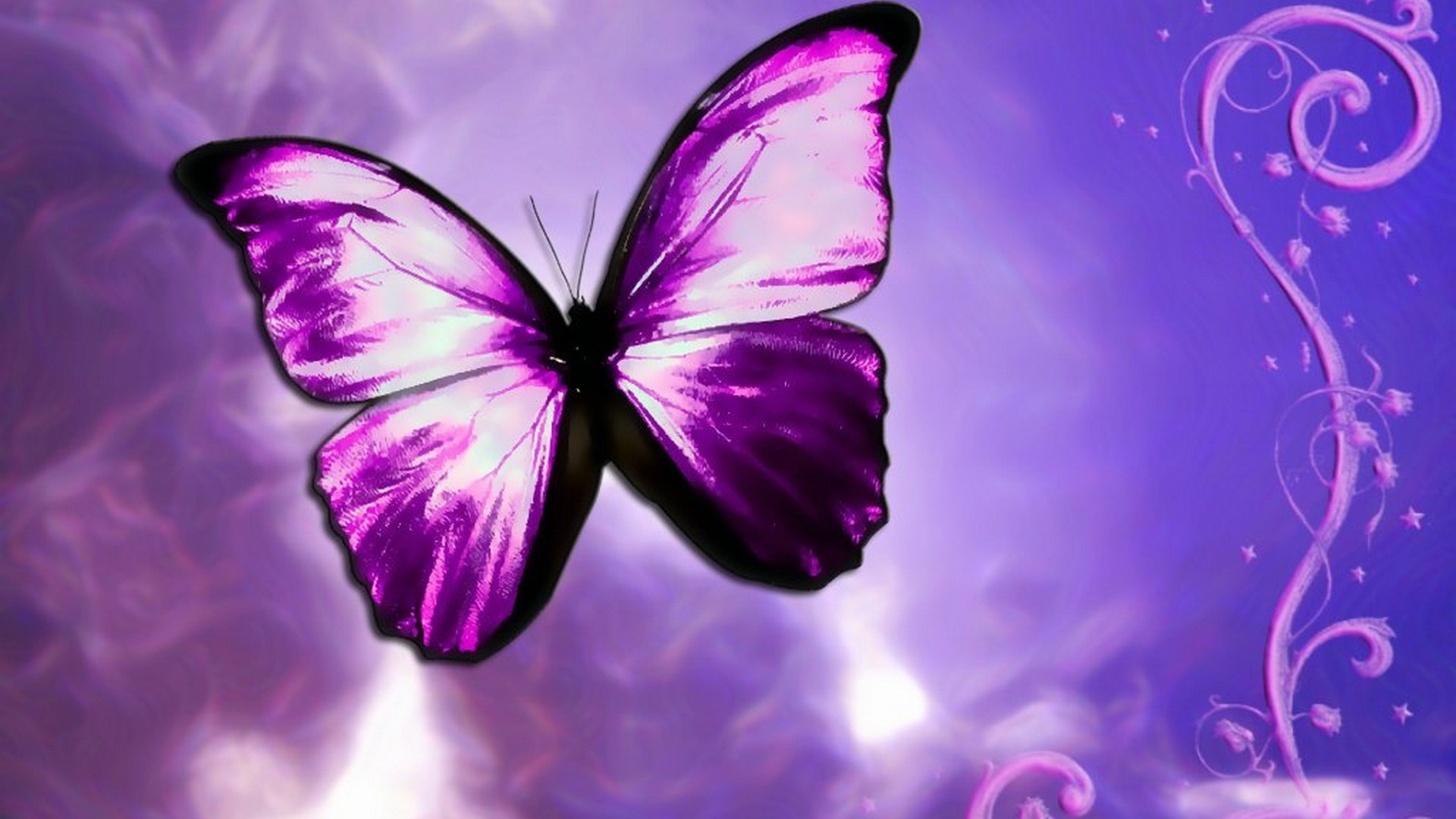 1920x1080 Wallpapers Computer Purple Butterfly 