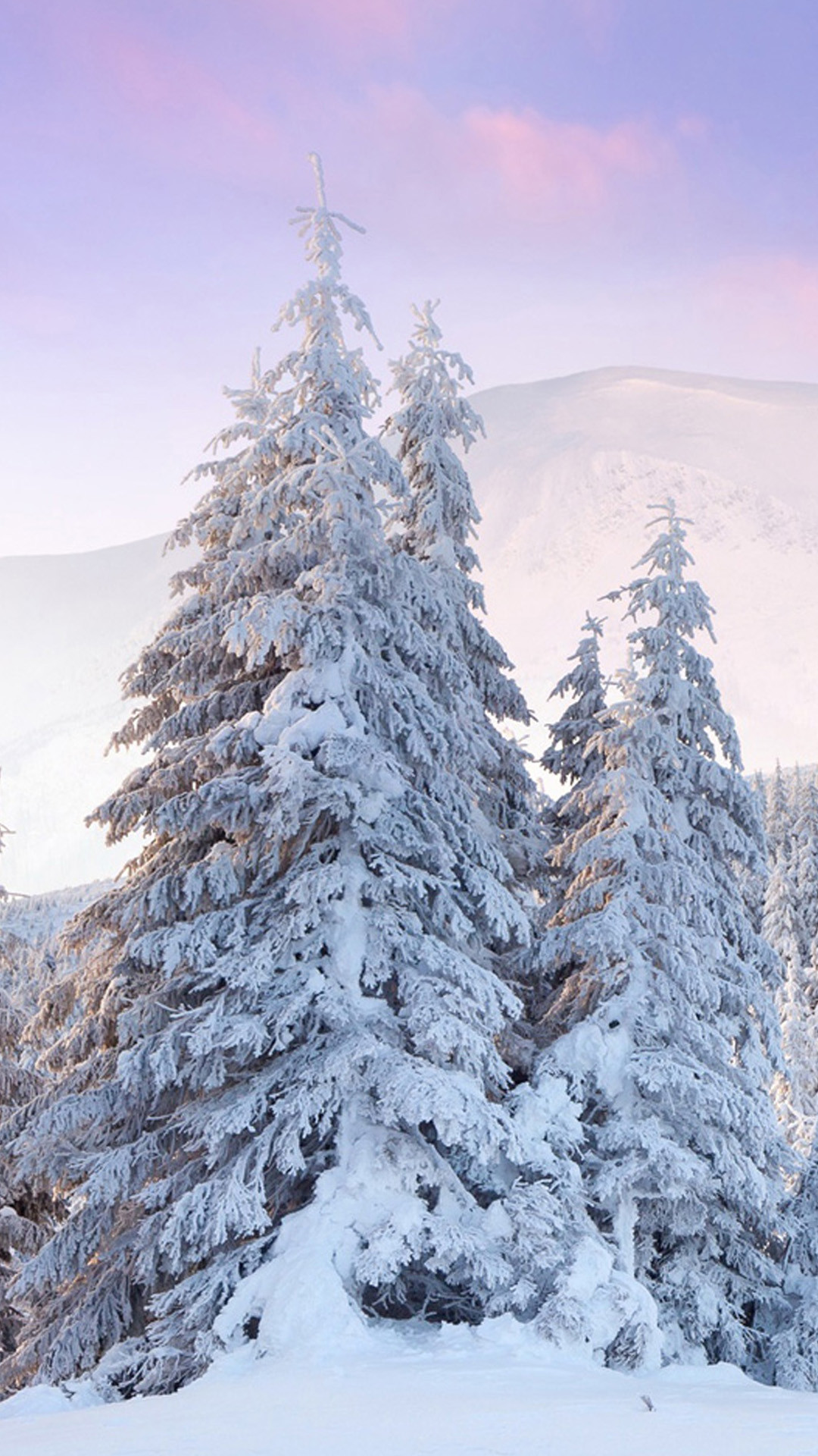 1080x1920 Winter snow trees Htc One M8 wallpaper