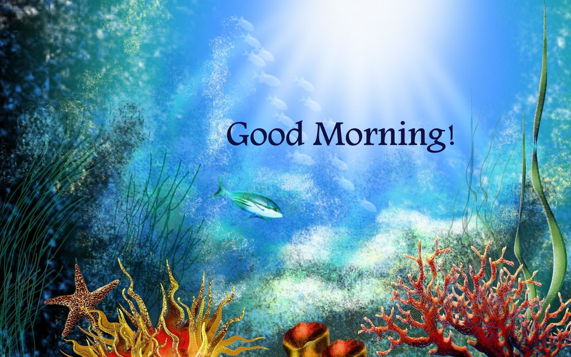 1920x1200 Full Size of Fish Tank Awesome Aquarium Backgrounds Images Inspirations  Background Black Sold By The Foot ...
