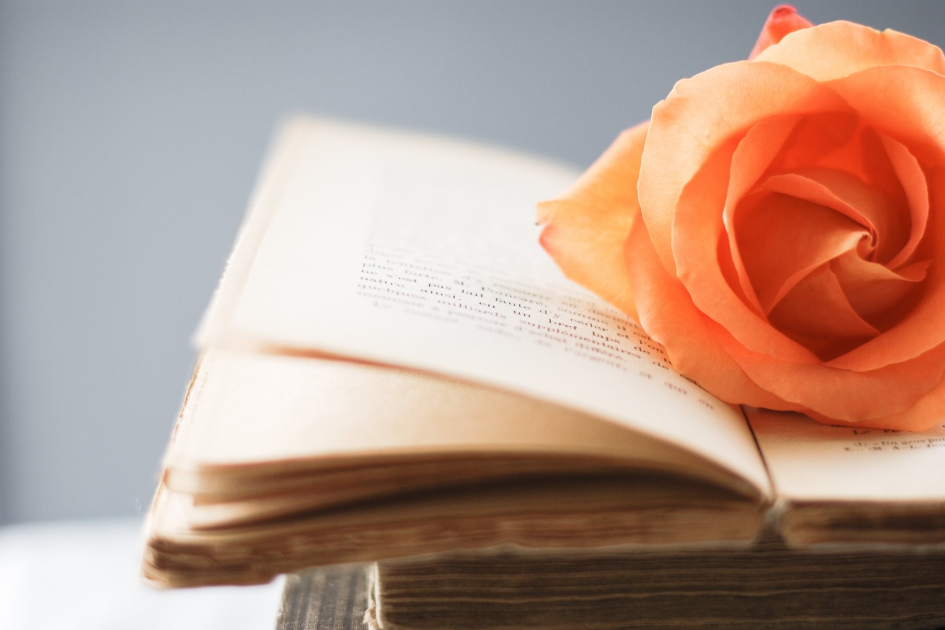 1920x1280 Orange Rose on Book Pages Wallpaper 49792