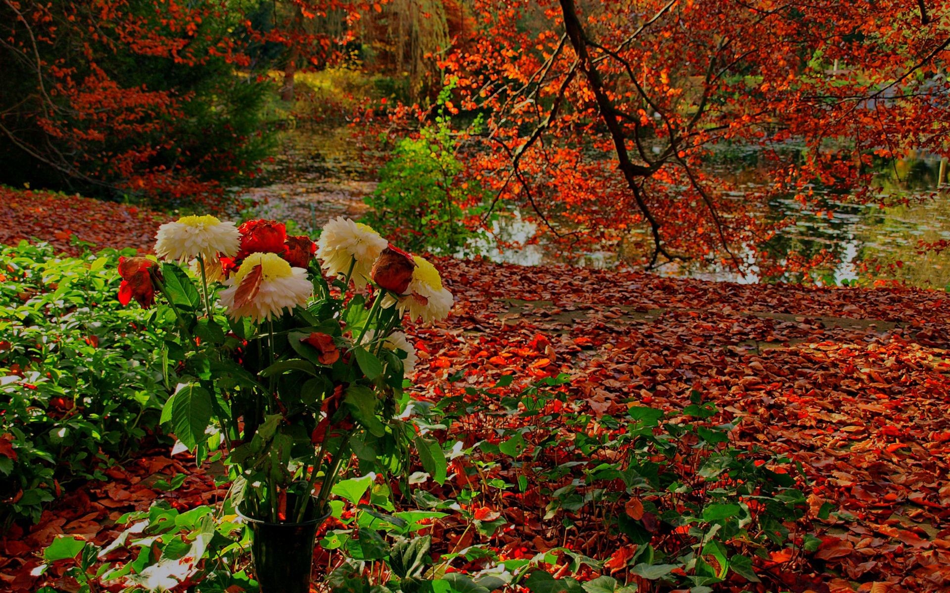 1920x1200 Autumn Flowers Description from imgarcade.com. I searched for this on  bing.com/images
