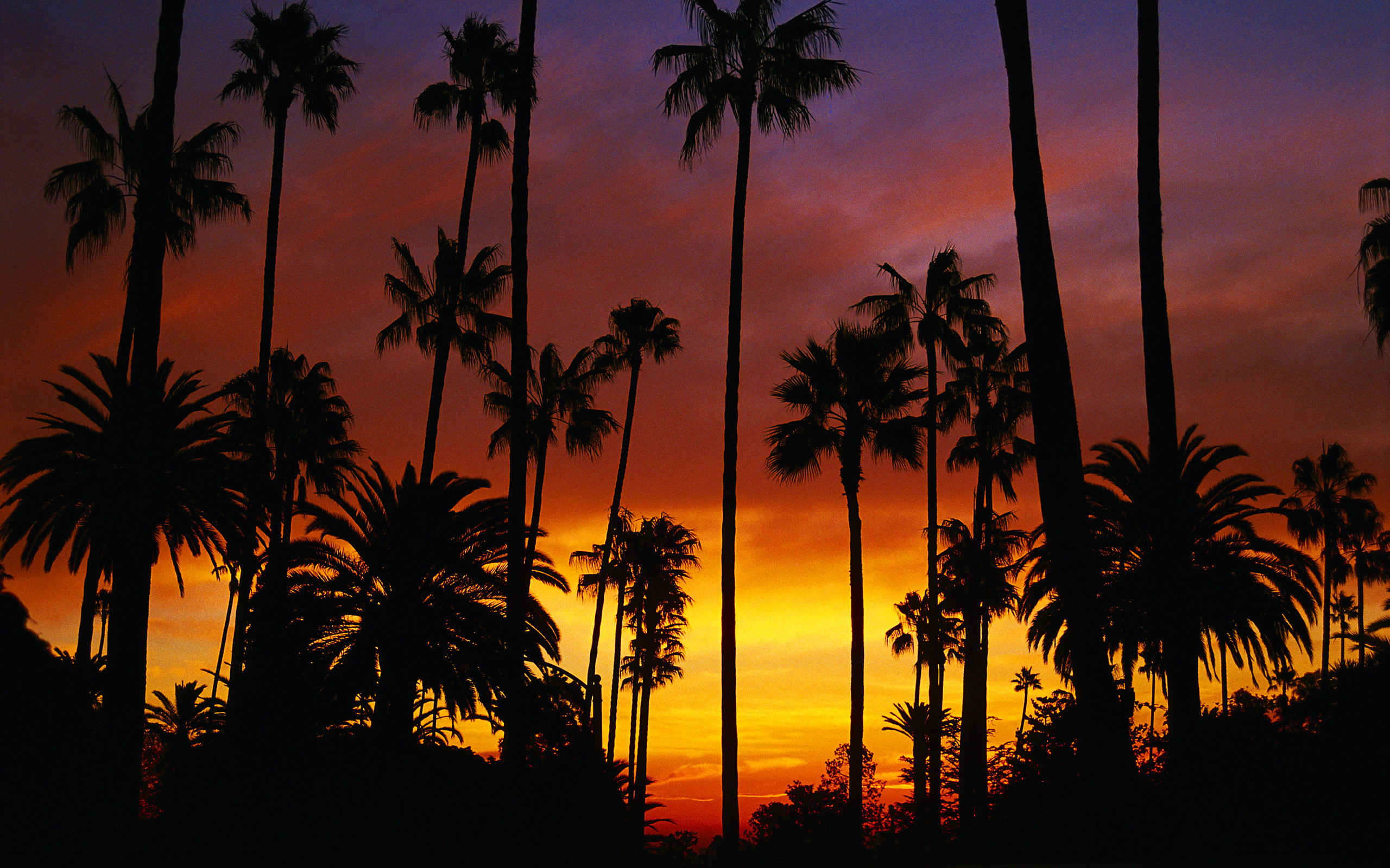 2560x1600 California Sunset HD Wallpaper | Background Image |  | ID:719953 -  Wallpaper Abyss