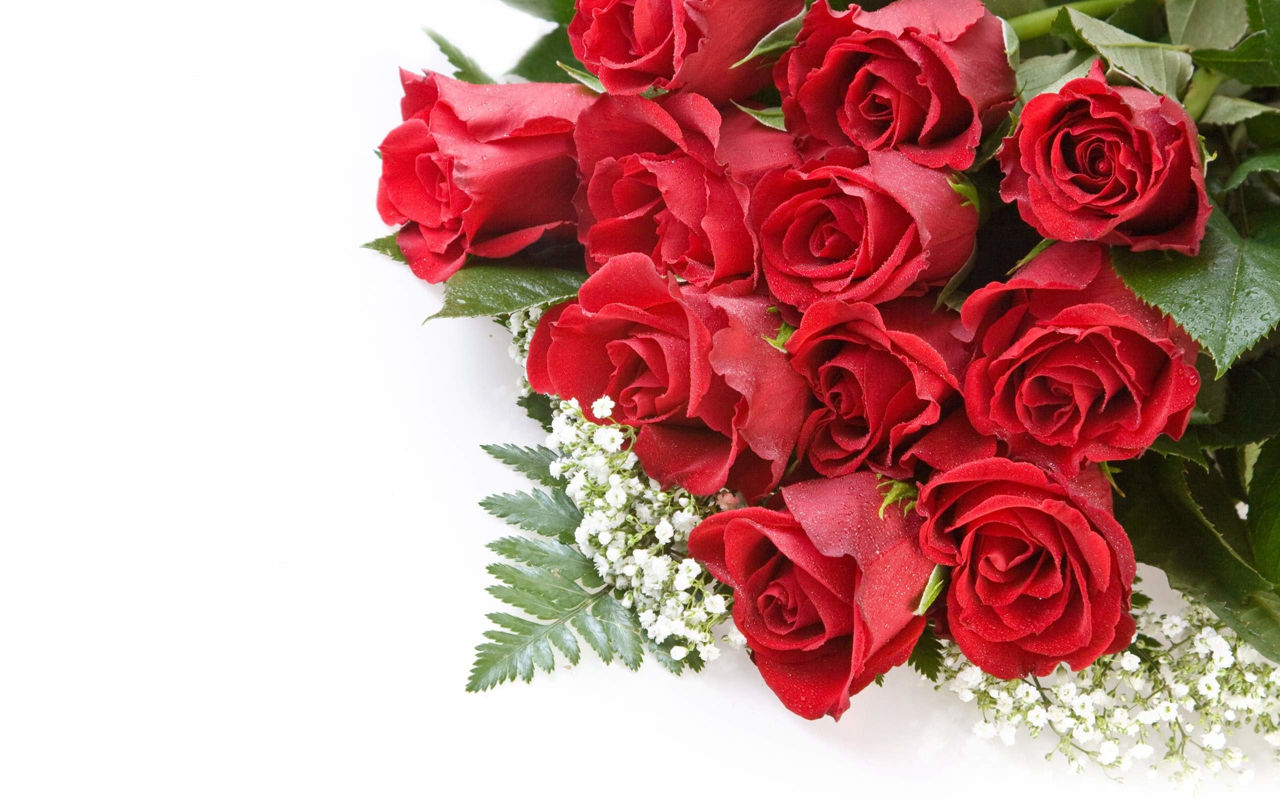 2560x1600 In addition to being beautiful flowers for arrangements, roses lend  themselves to a wide variety of crafts, providing everything from petals