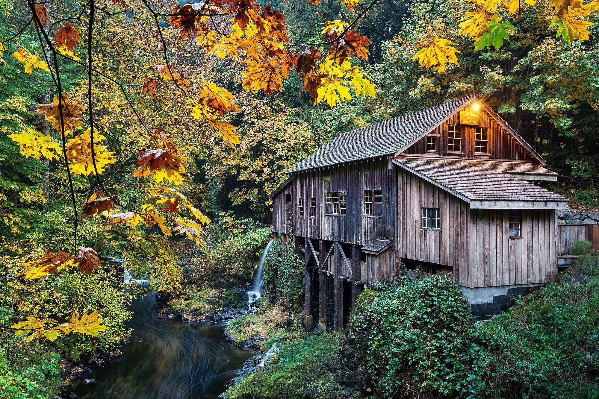 2000x1333 Rivers Grist Cedar Usa Mill Creek Woodland Washington Nature Autumn  Wallpaper Desktop Beauty HD