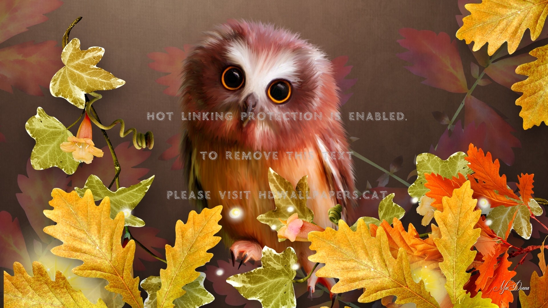 1920x1080 Cute autumn owl oak fall leaves brown big ultra wallpaper jpg  Owl  fall desktop wallpaper
