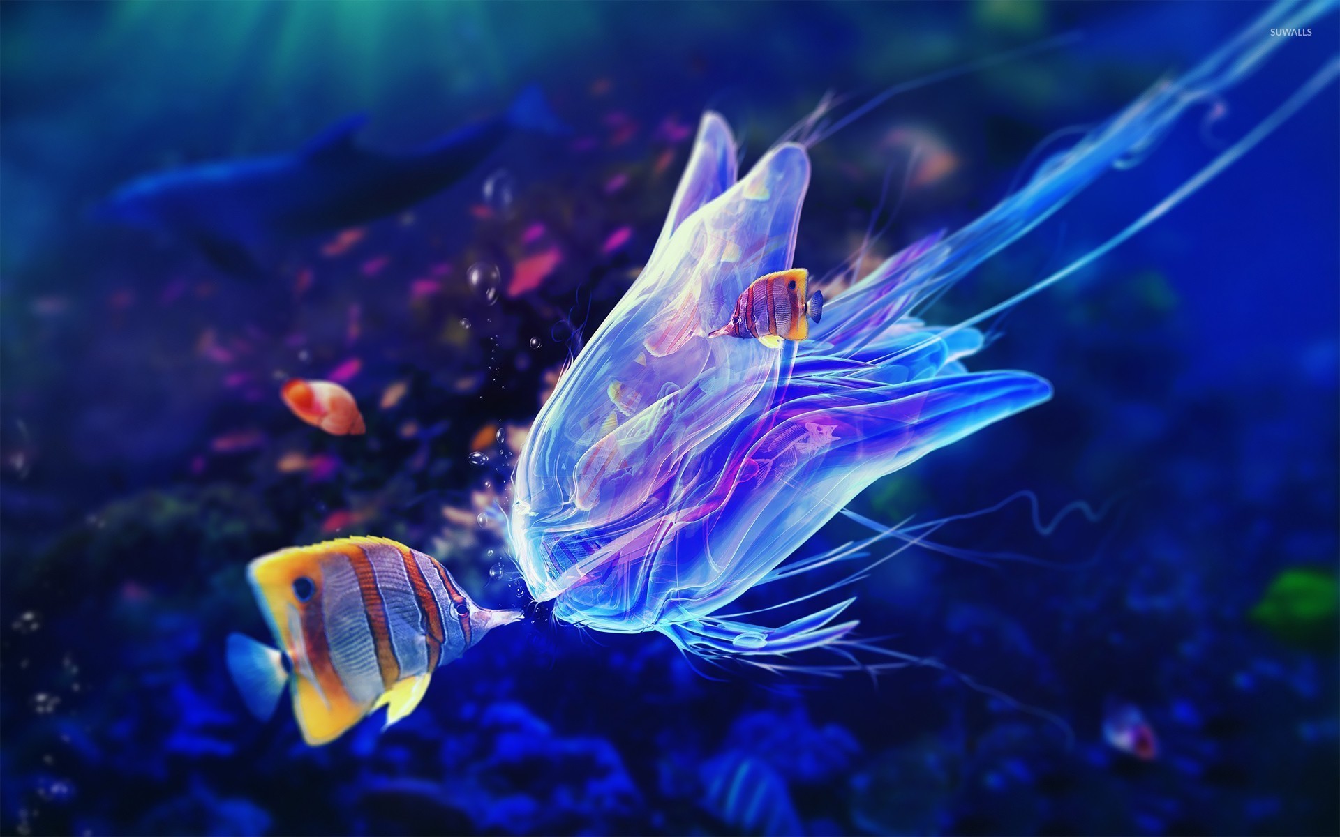 1920x1200 Butterflyfish and jellyfish wallpaper