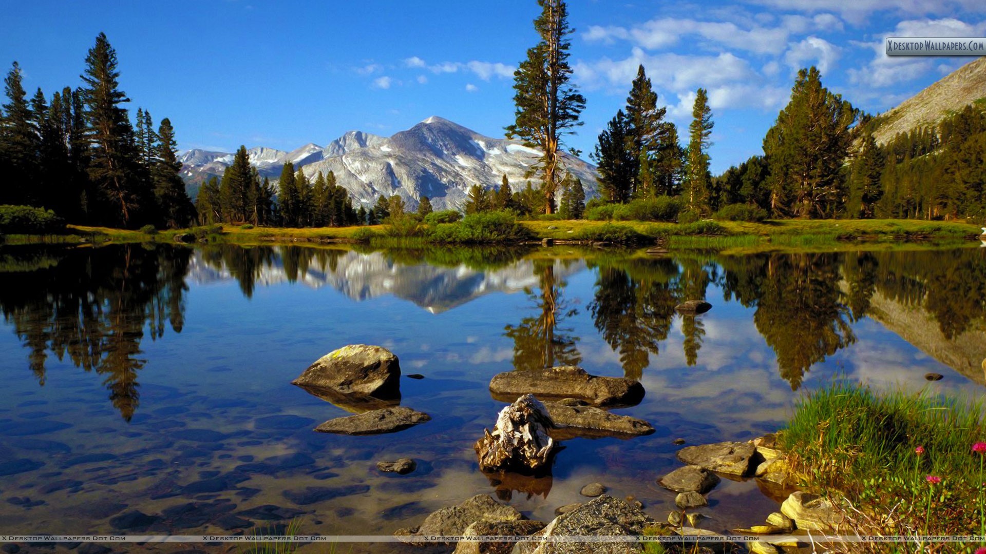 1920x1080 You are viewing wallpaper titled "High Country Near Tioga Pass, Yosemite  National Park ...