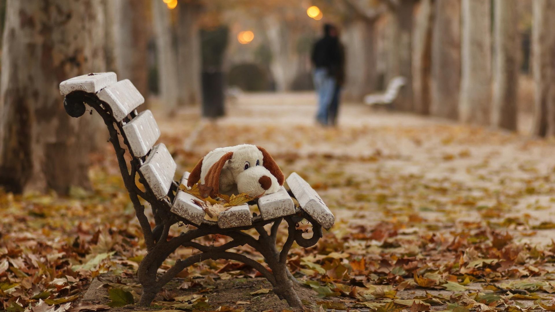 1920x1080 Lover Tag - Childhood Autumn Couple Bye Toy Lover Bench Good Evergreen  Forest HD Wallpaper for