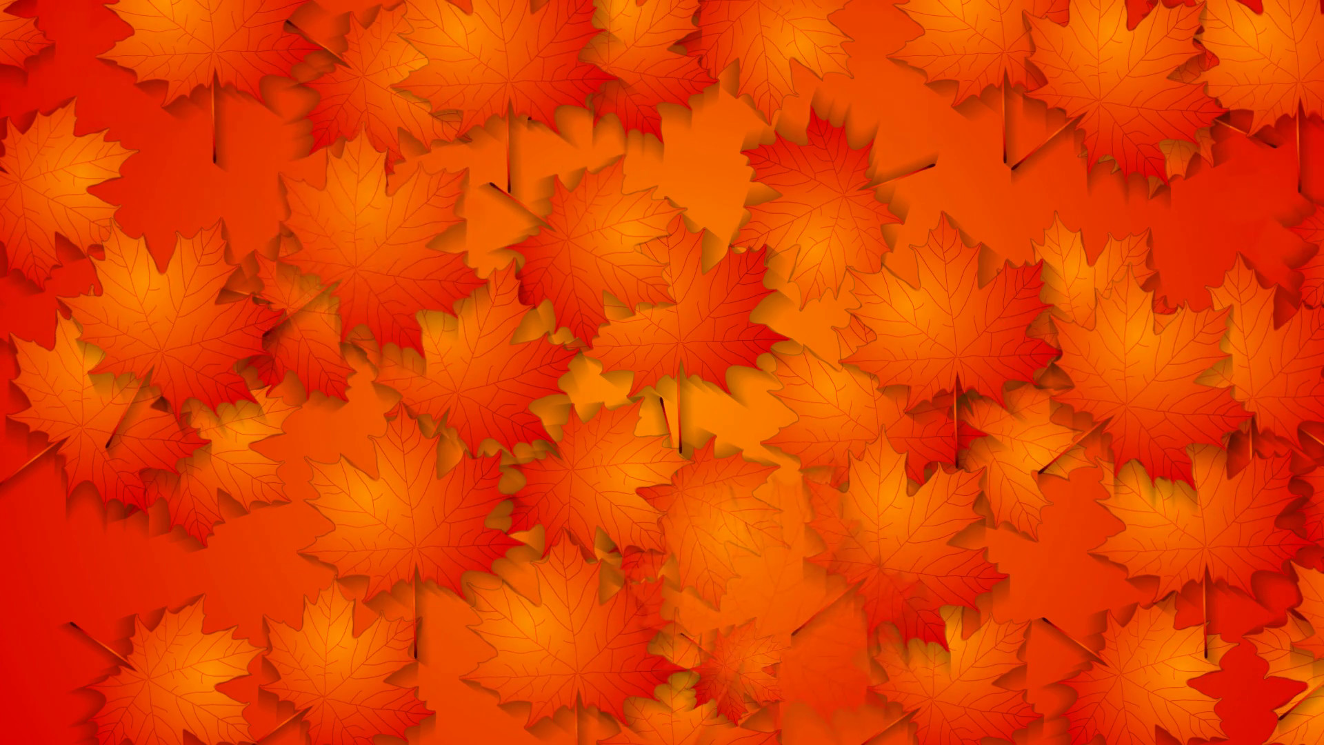 1920x1080 Abstract red orange autumn background with maple leaves. Video animation HD   Motion Background - VideoBlocks