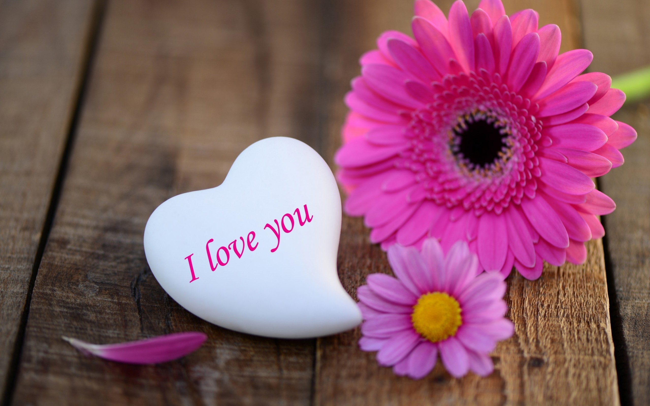 2560x1600 pink-daisies-heart-stone-i-love-you-wide- ...