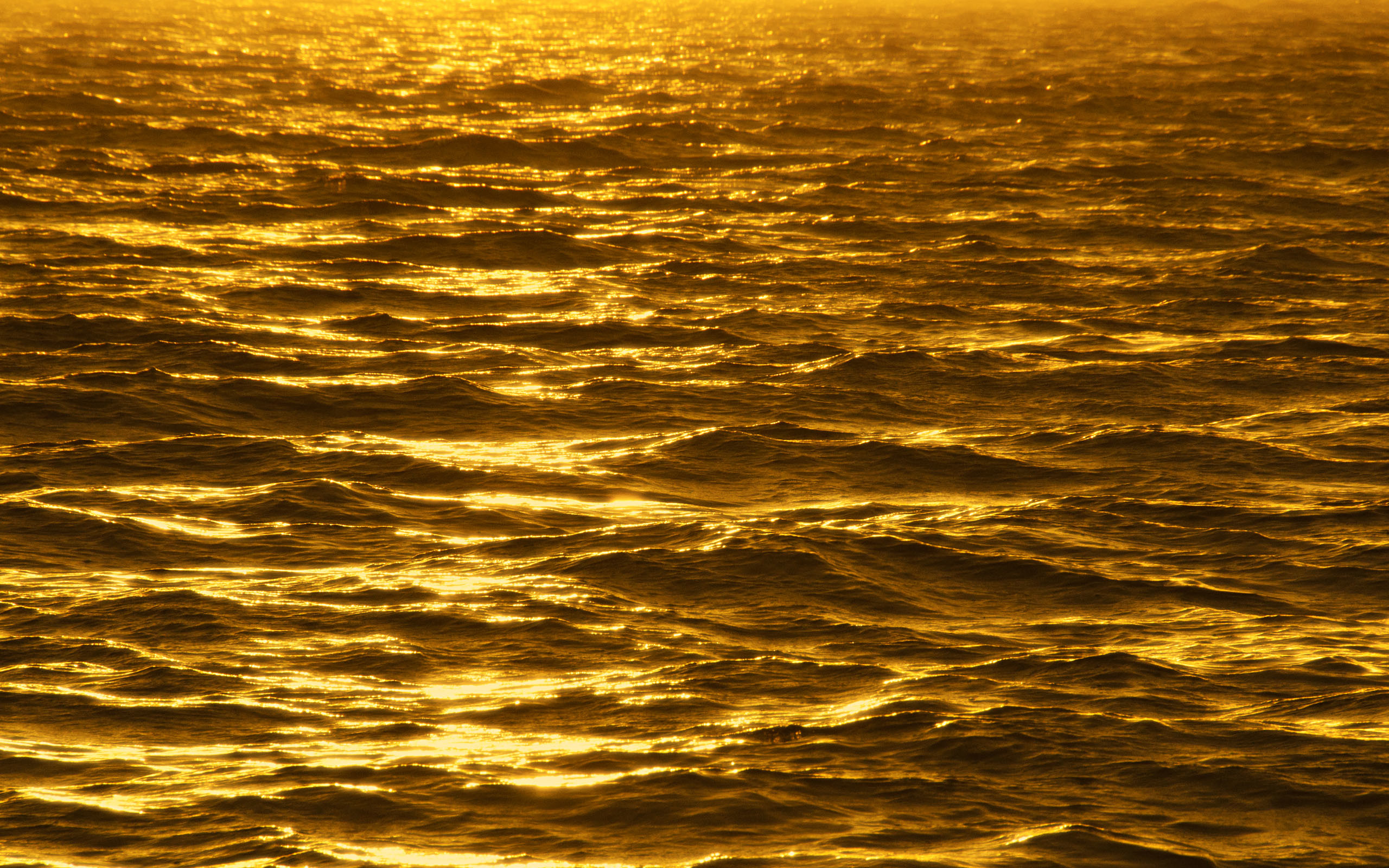 2560x1600 Gold Wallpapers ocean