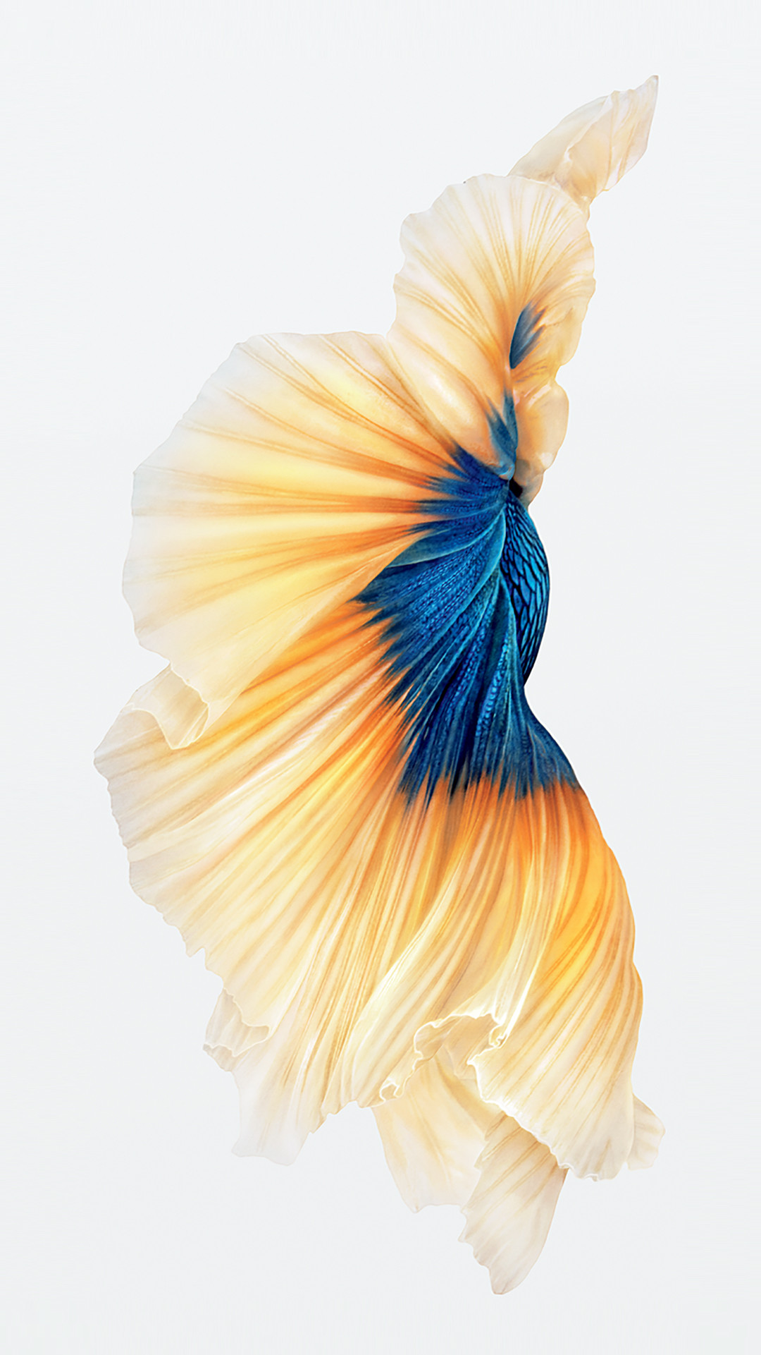 1080x1921 iPhone 6s Fish Gold Wallpaper. Download: iPhone. iPhone ...