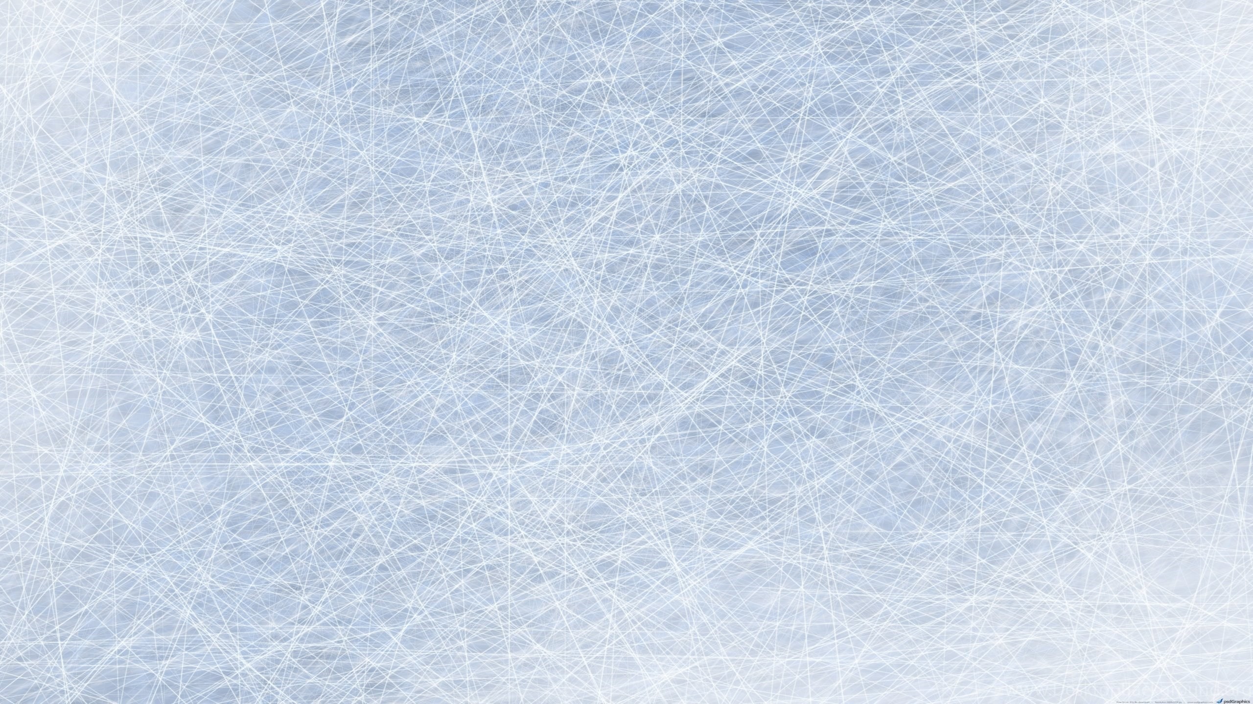 2560x1440 Hockey Ice Downlod  HD Wallpapers