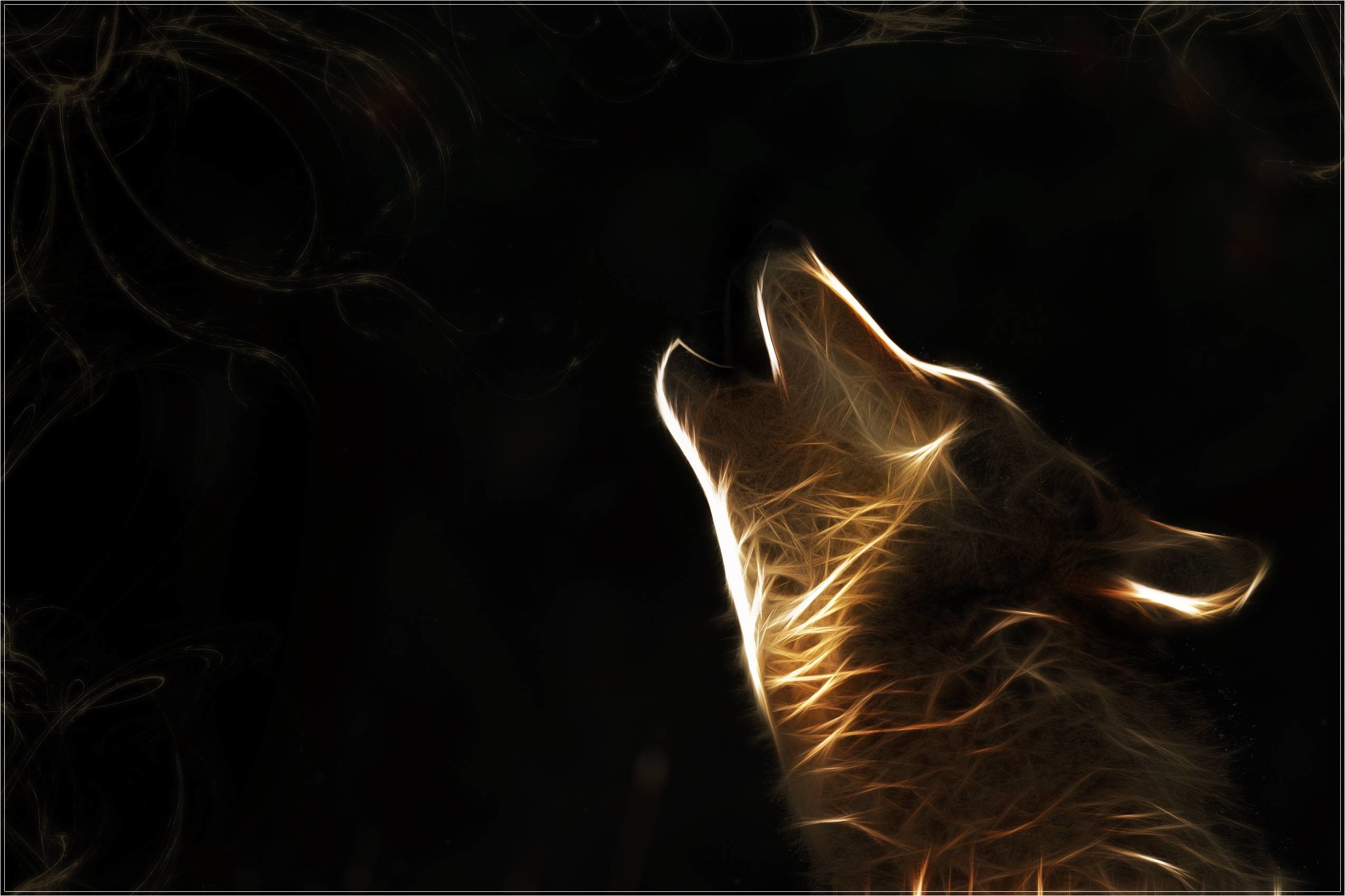2550x1699 Abstract Wolf Wallpapers Hd
