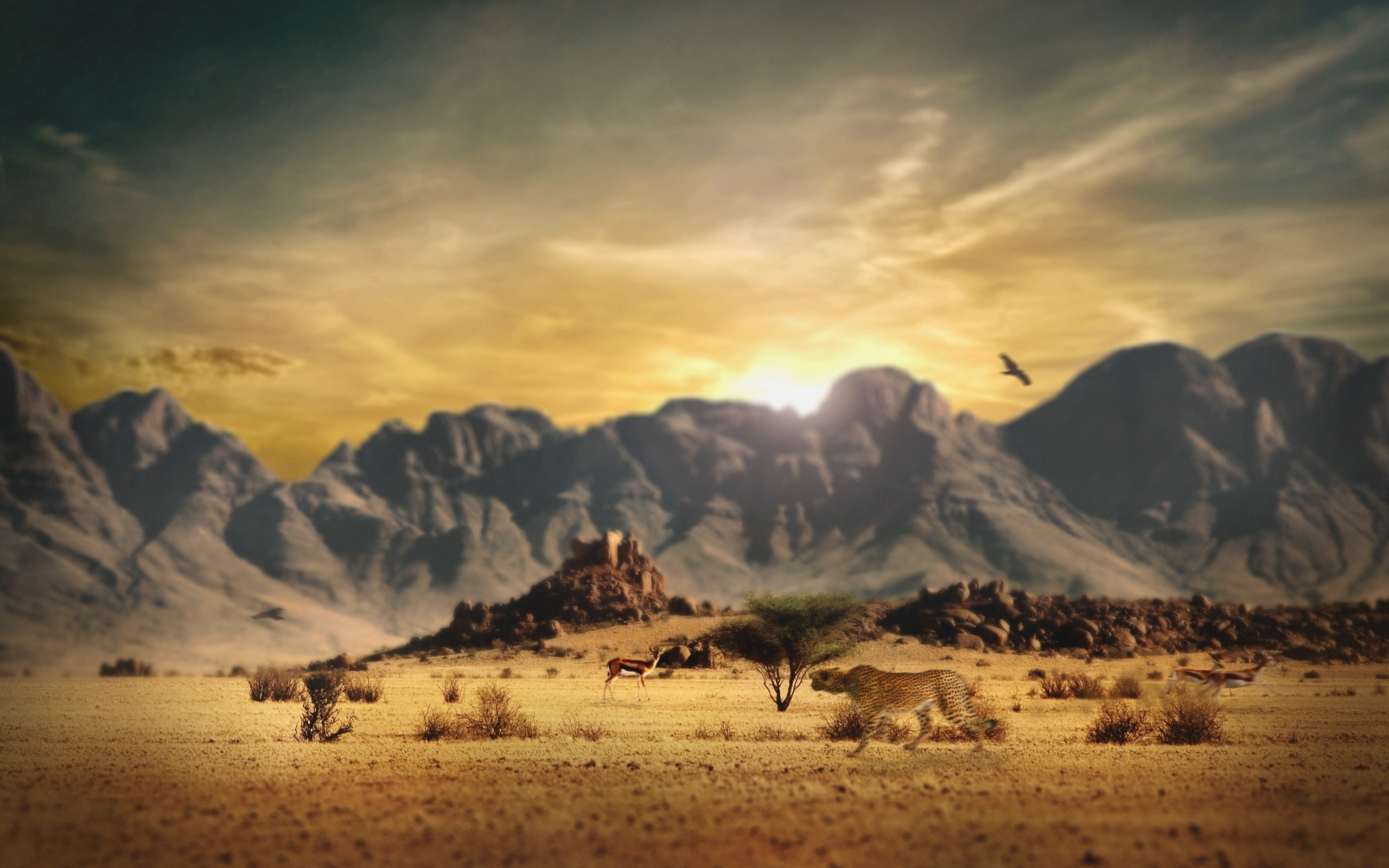 Western Screensavers And Wallpaper (62+ images)