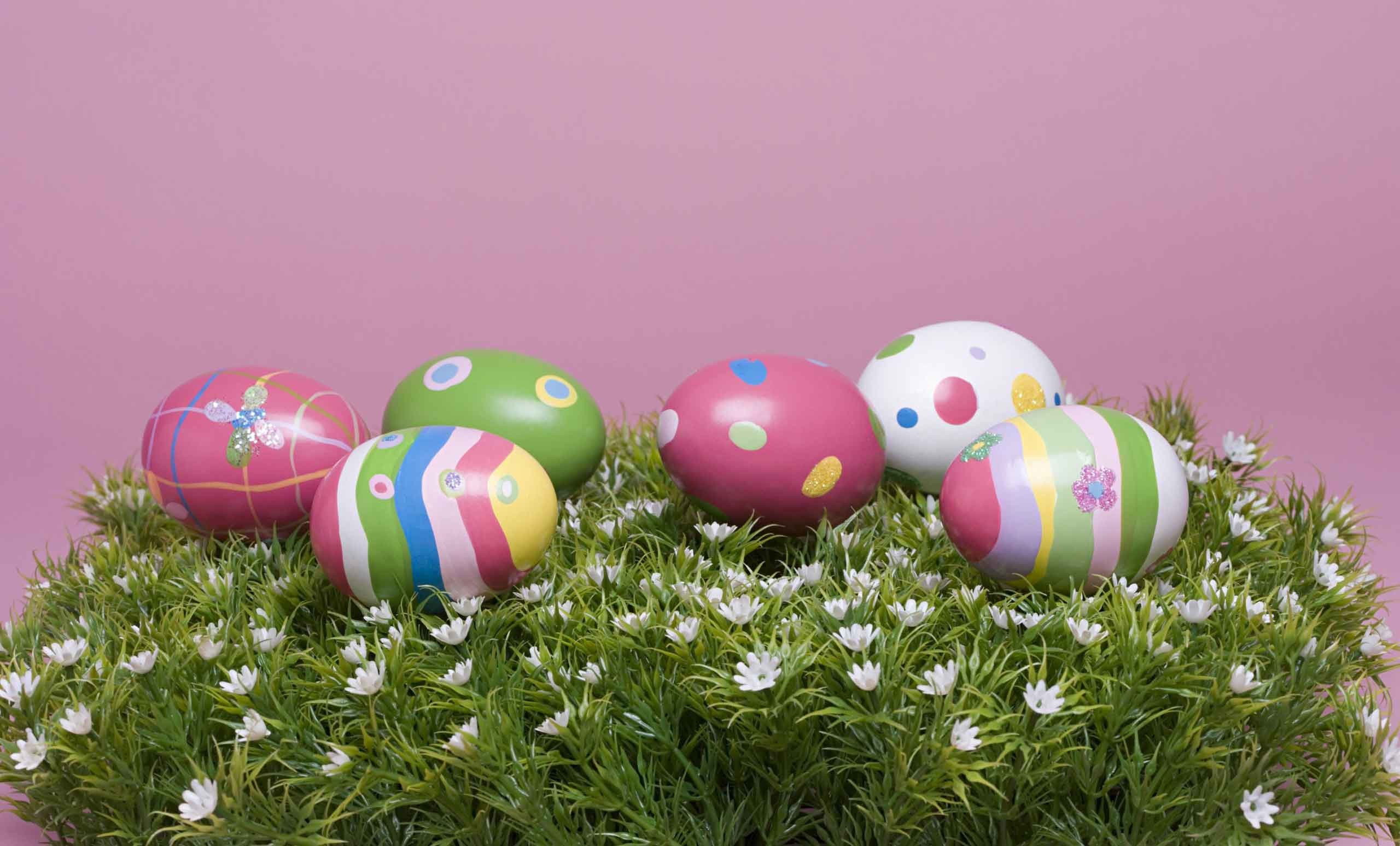 2560x1548 Free Wallpapers - Cute arrangement Easter eggs wallpaper