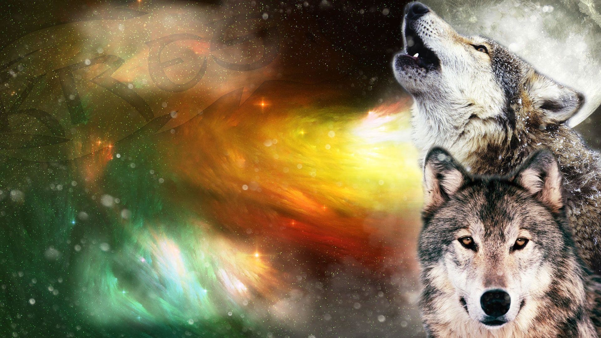 1920x1080 <b>Wolf Howling</b> At The Moon <b>Wallpapers