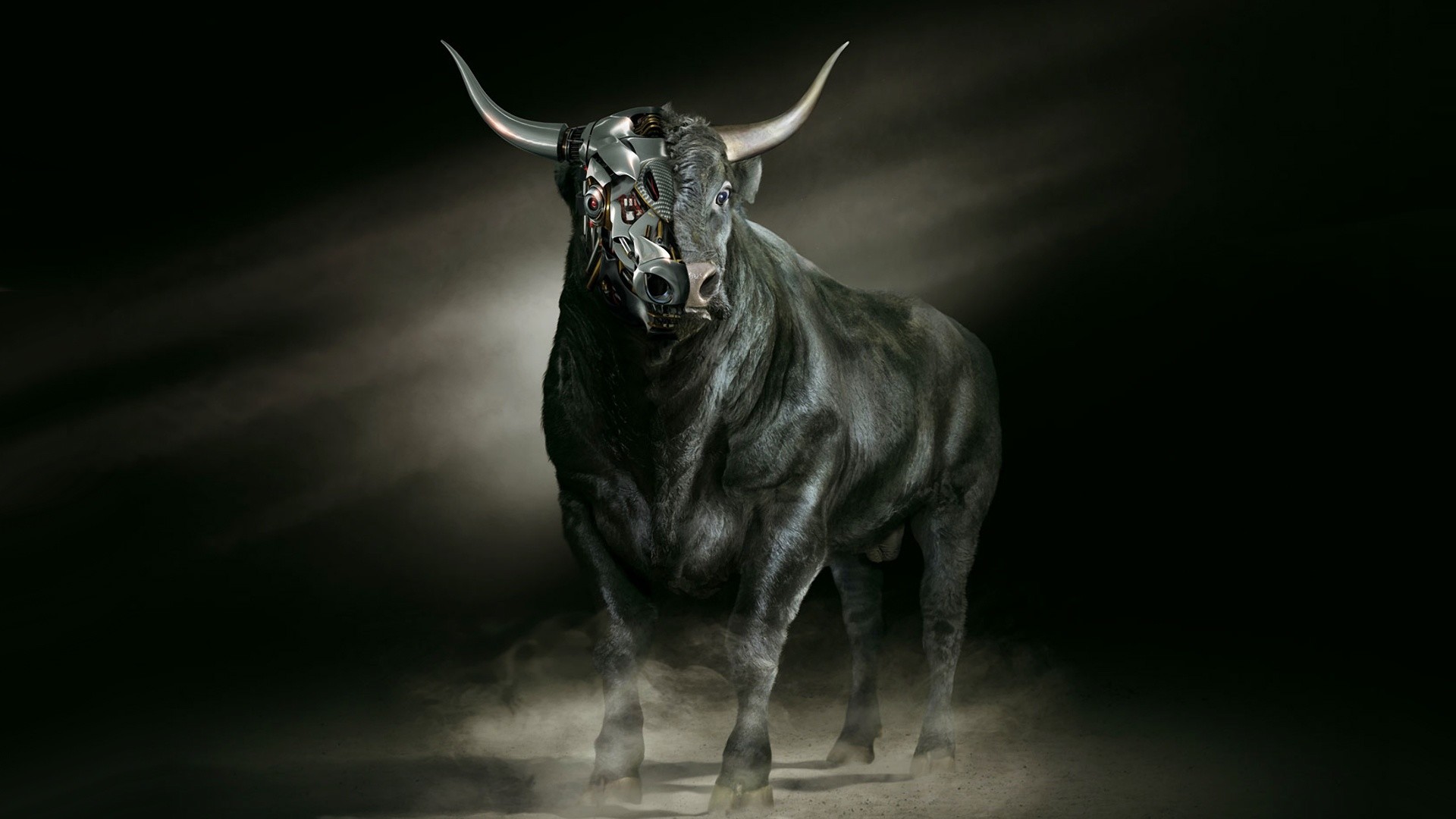 1920x1080 Bull