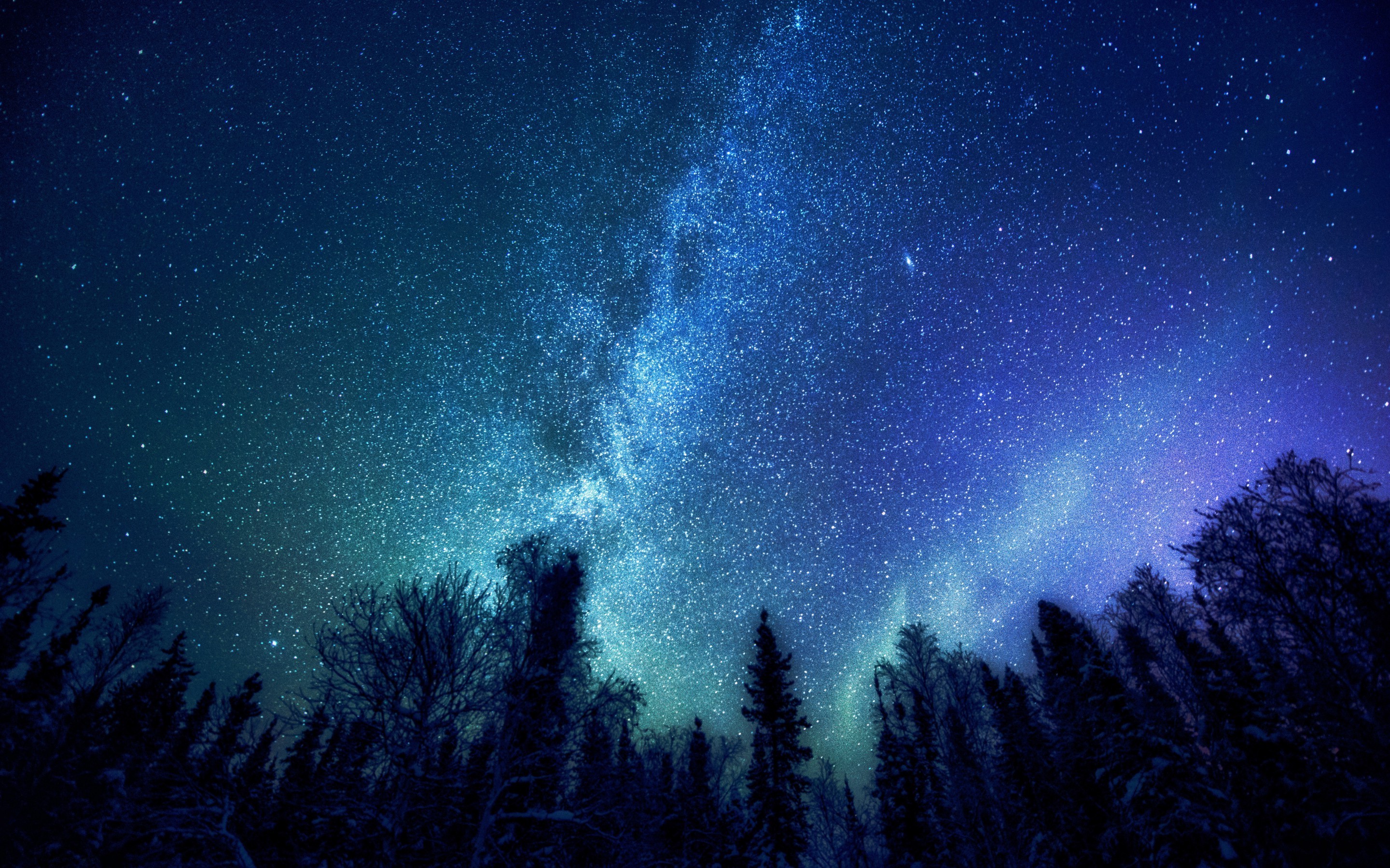 2880x1800 trees, Nature, Stars, Milky Way Wallpapers HD / Desktop and Mobile  Backgrounds