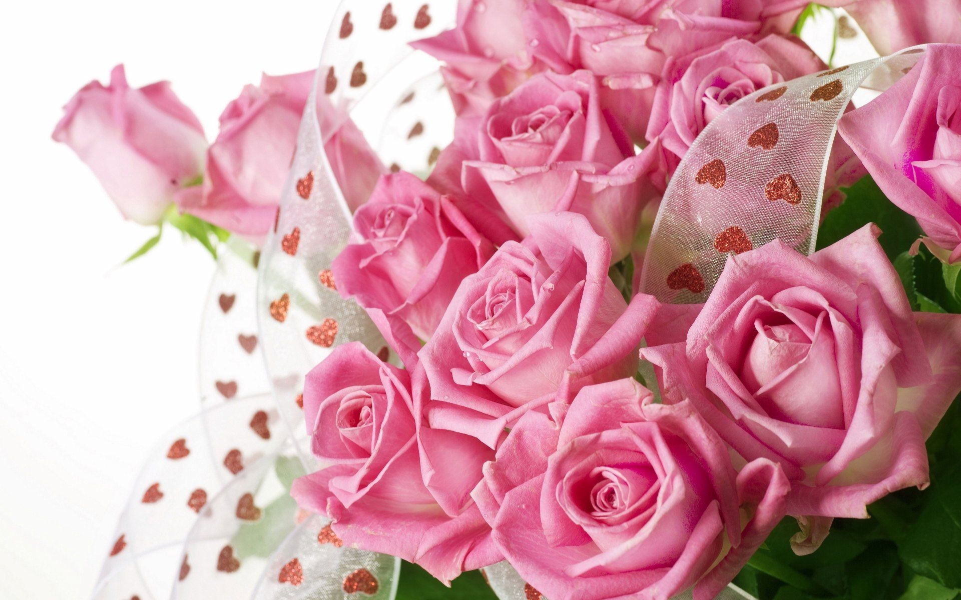 1920x1200 Beautiful Pink Roses Wallpapers (47 Wallpapers)