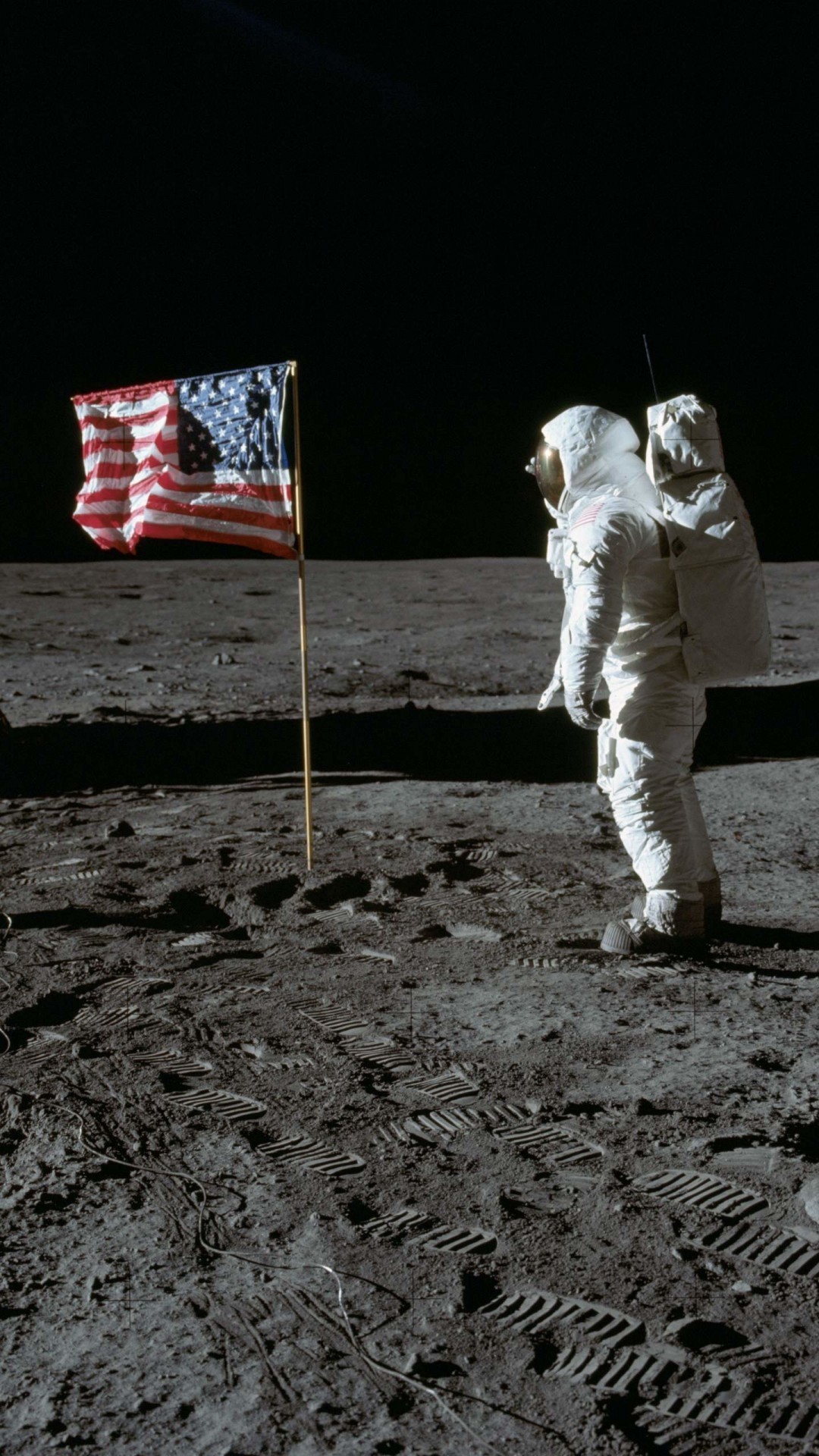 1080x1920 Buzz Aldrin in the moon