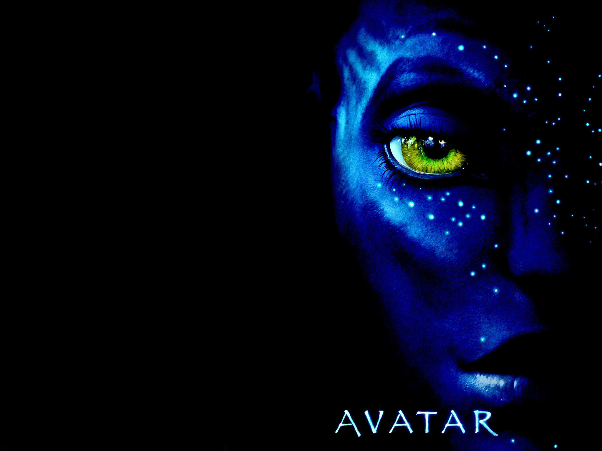 1920x1440 Avatar Movie Wallpapers Free Download Group (71+)