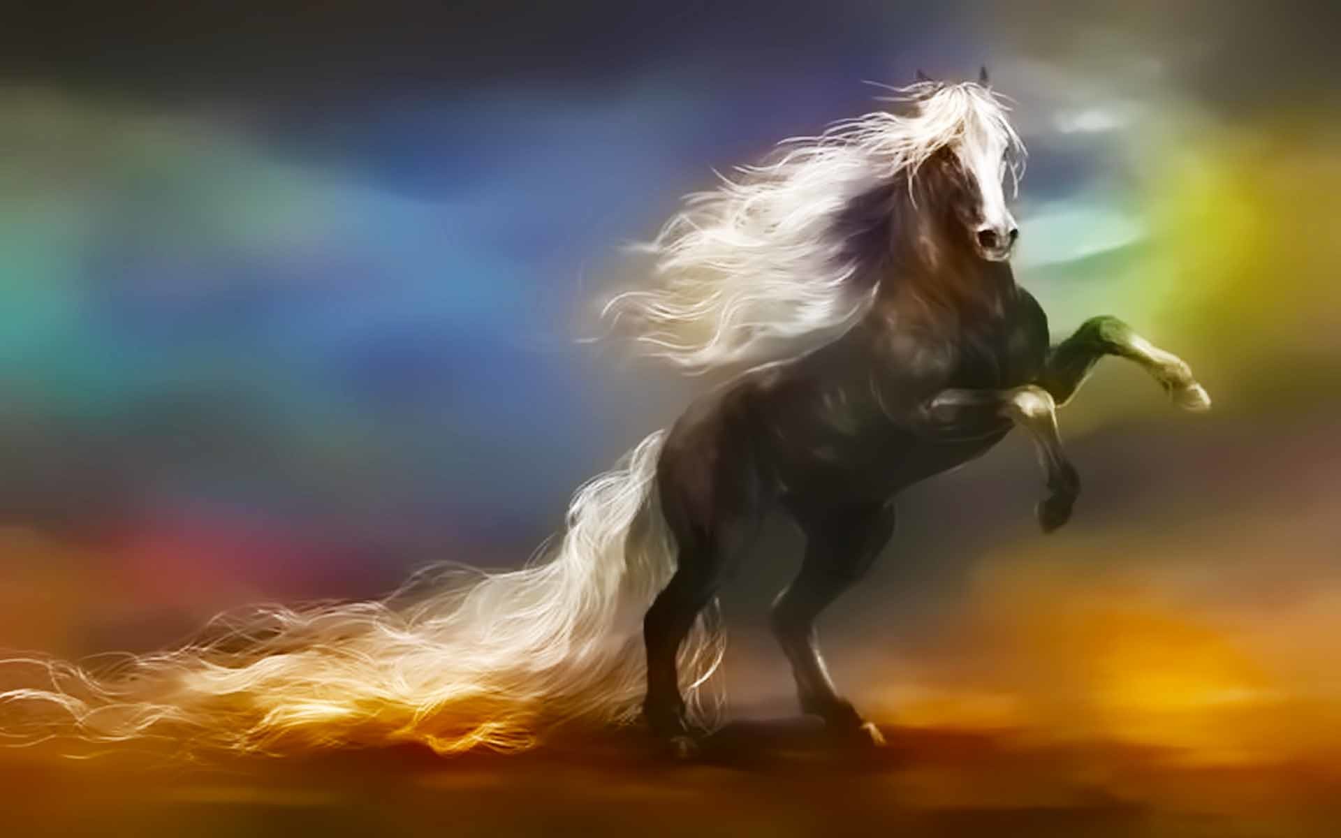 1920x1200 Horse wallpaper - Horse Long Tail Beauty Wallpapers - HD Wallpapers .
