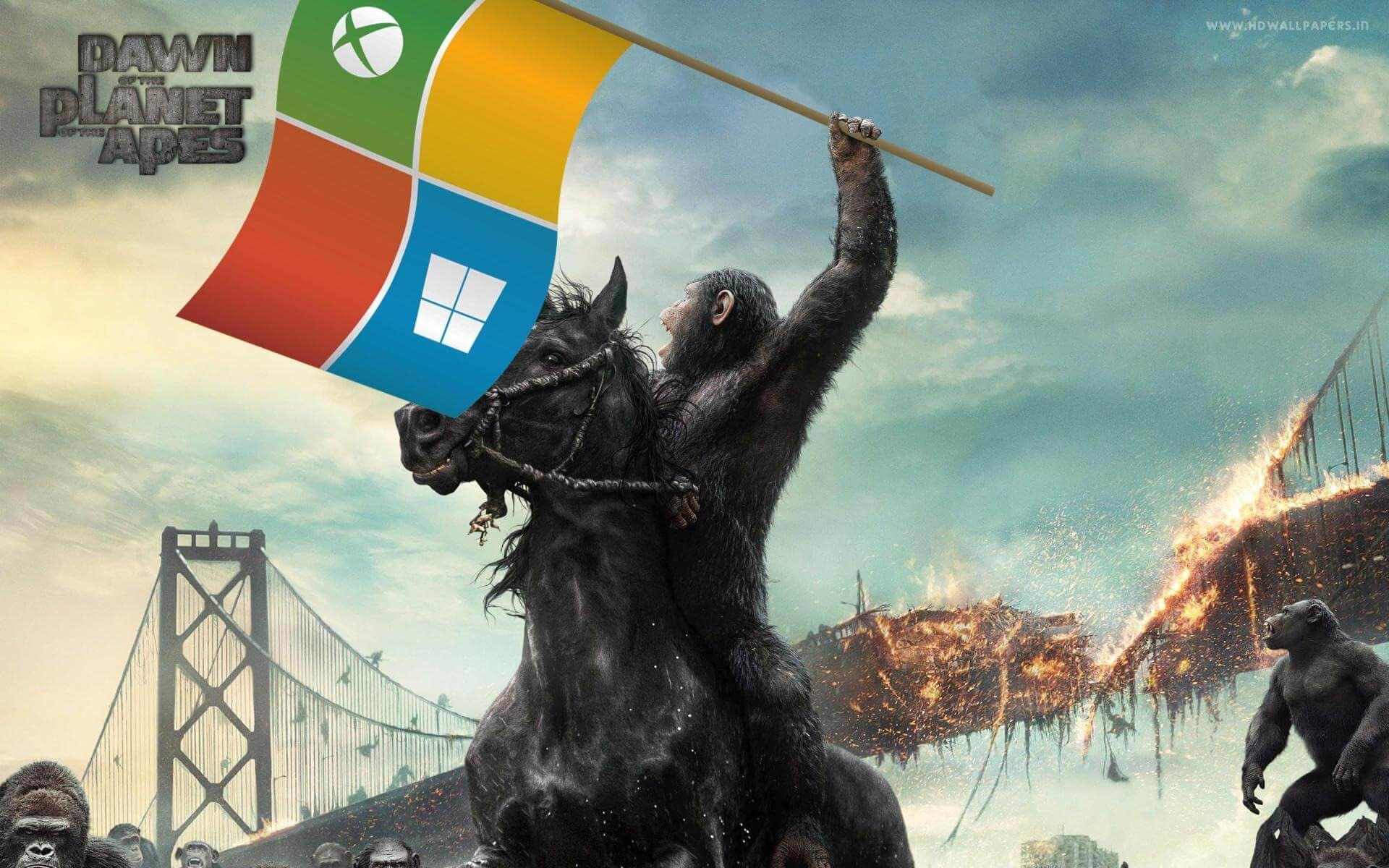 1920x1200 Windows 10 Ninjacat-Meme