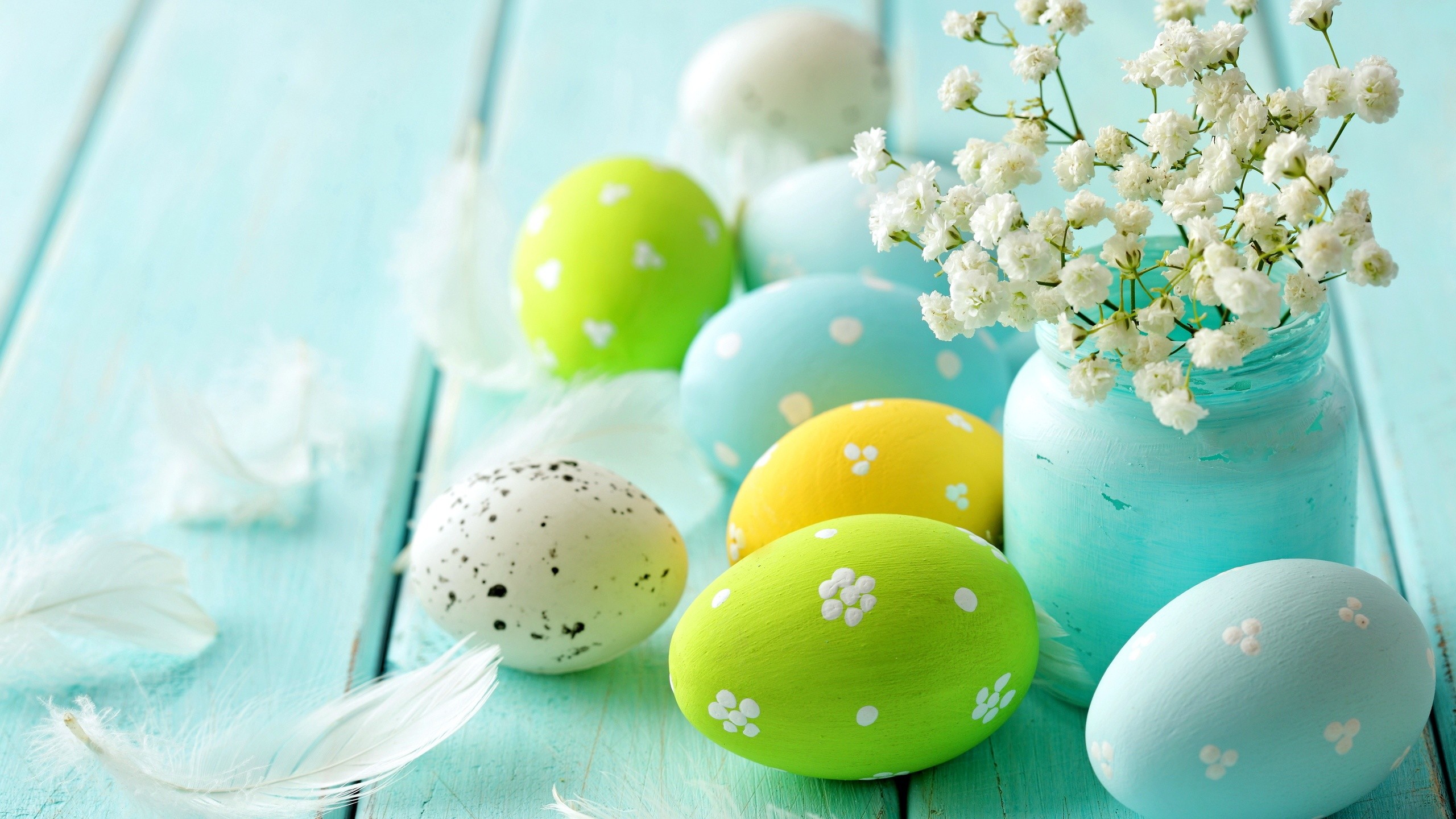 2560x1440 Easter Spring Blue Eggs Flowers | 2560 x 1440 | Download | Close