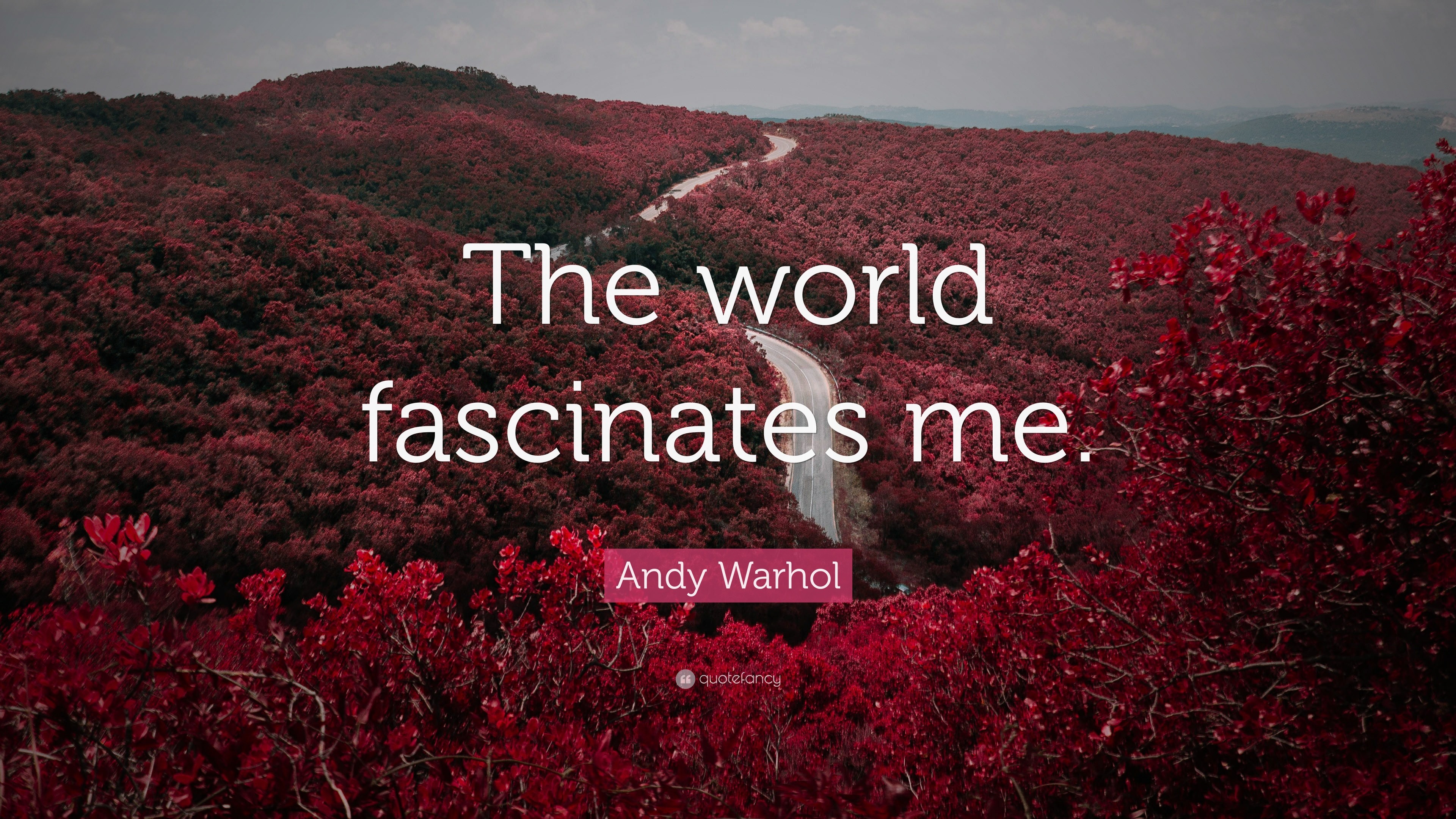 3840x2160 Andy Warhol Quote: “The world fascinates me.”
