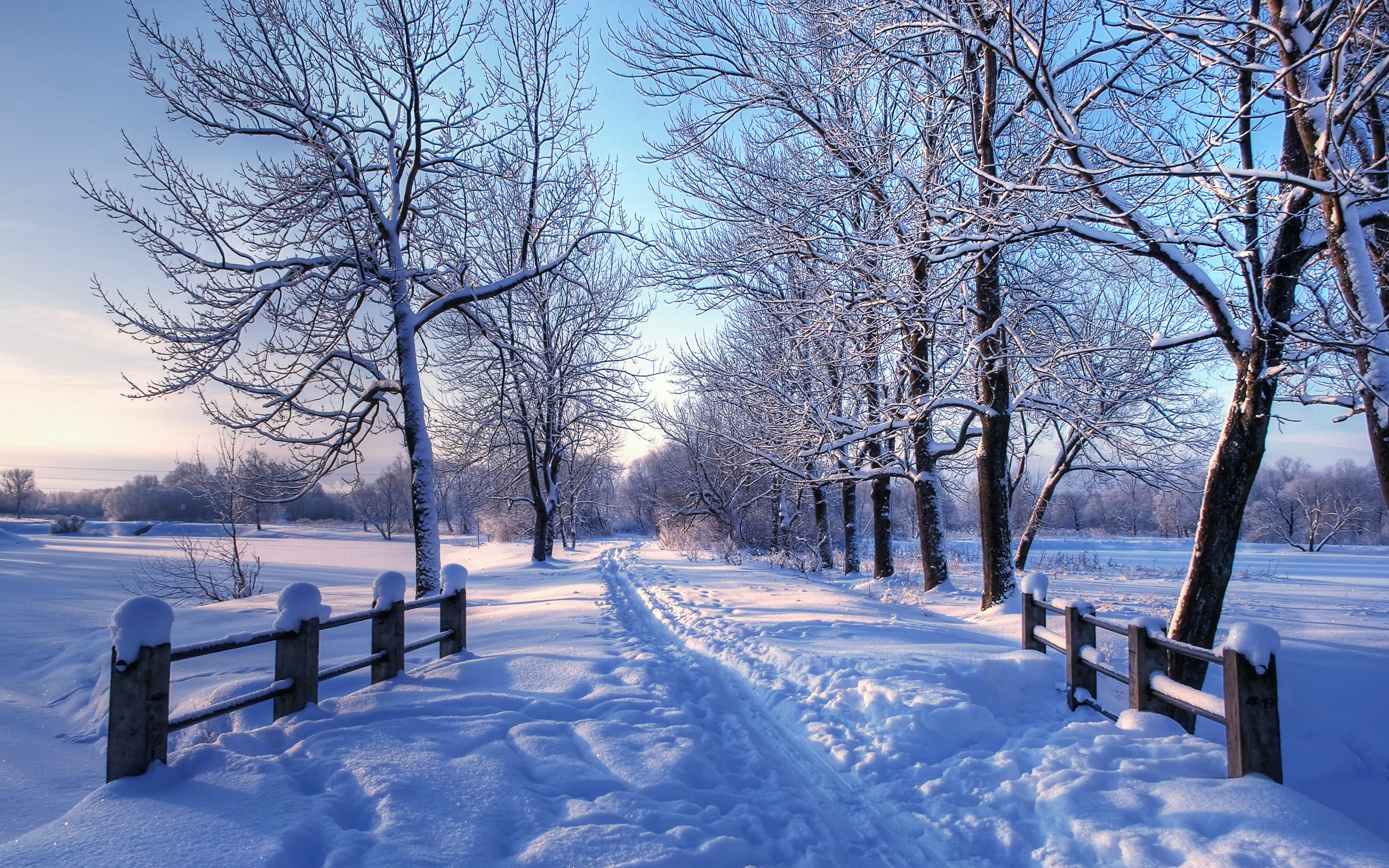 2560x1600 (2018, 04 May)  Country Winter Wallpaper For Desktop