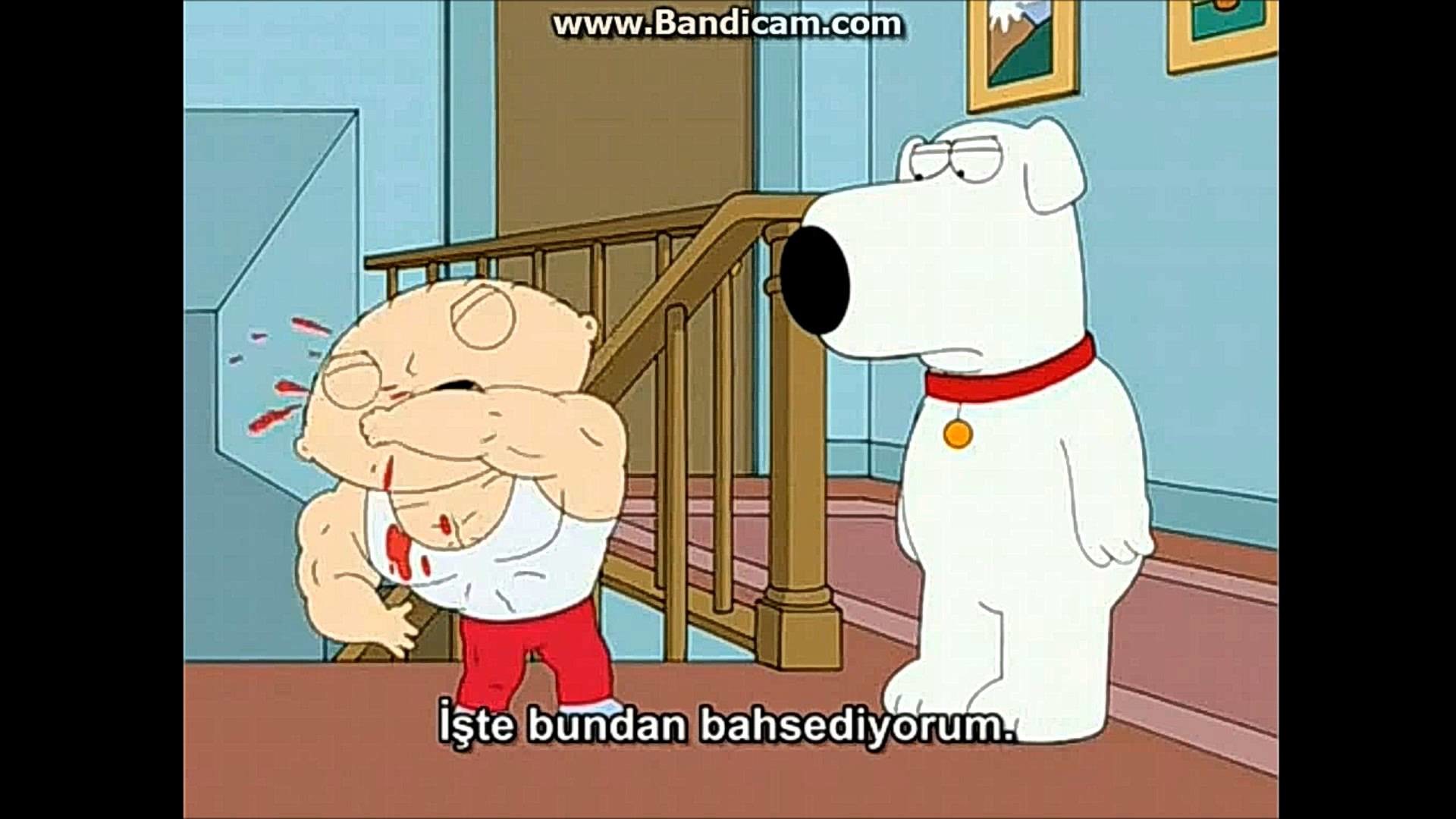 1920x1080 Family Guy - Stewie Griffin steroid - YouTube