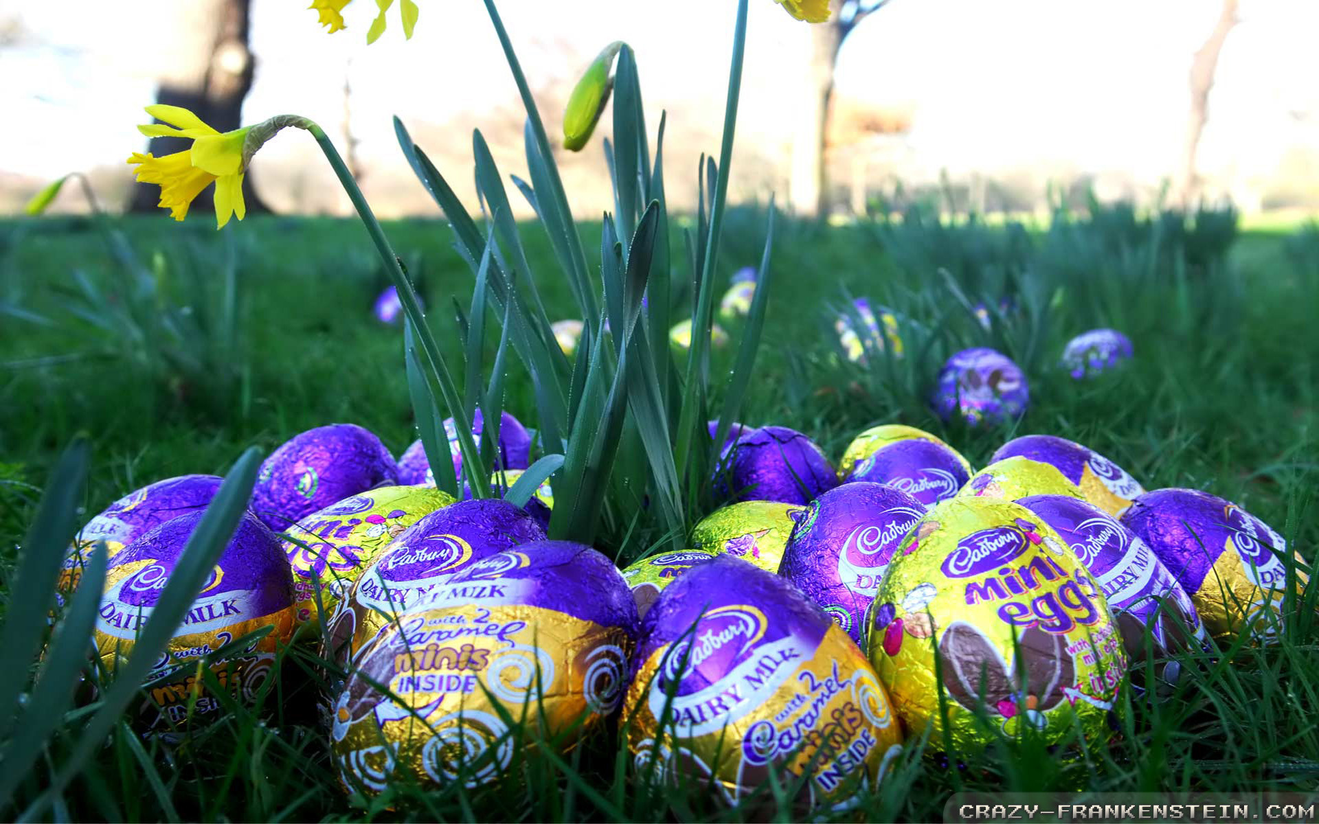 1920x1200 Wallpaper: Easter Eggs Chocolate Resolution: 1024x768 | 1280x1024 |  1600x1200. Widescreen Res: 1440x900 | 1680x1050 | 