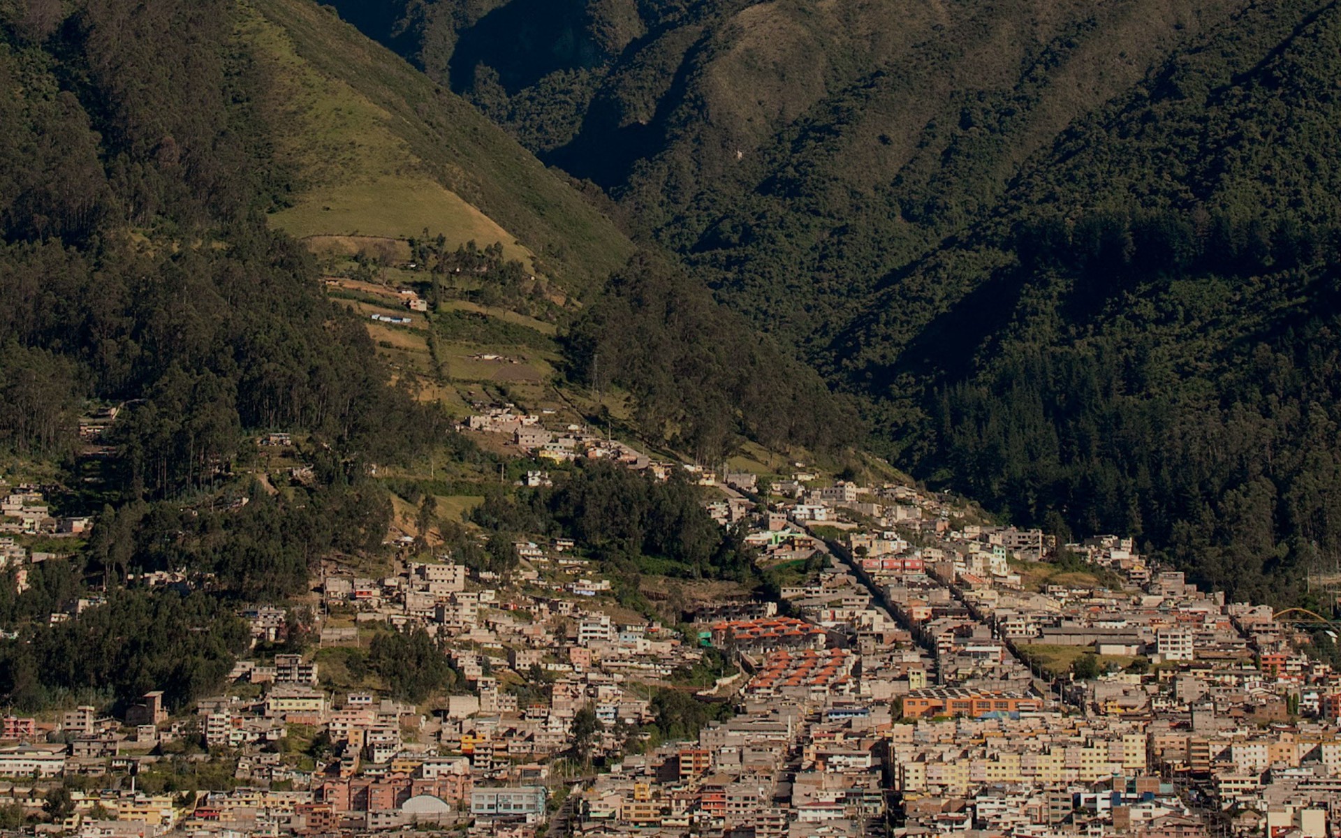 1920x1200 Ecuador Quito & The Andes wallpapers and stock photos