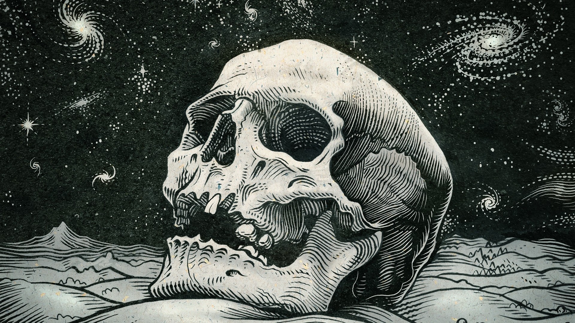 1920x1080  Cool Wallpaper of Skull | HD Wallpapers | Pinterest | Skull  wallpaper, Hd skull