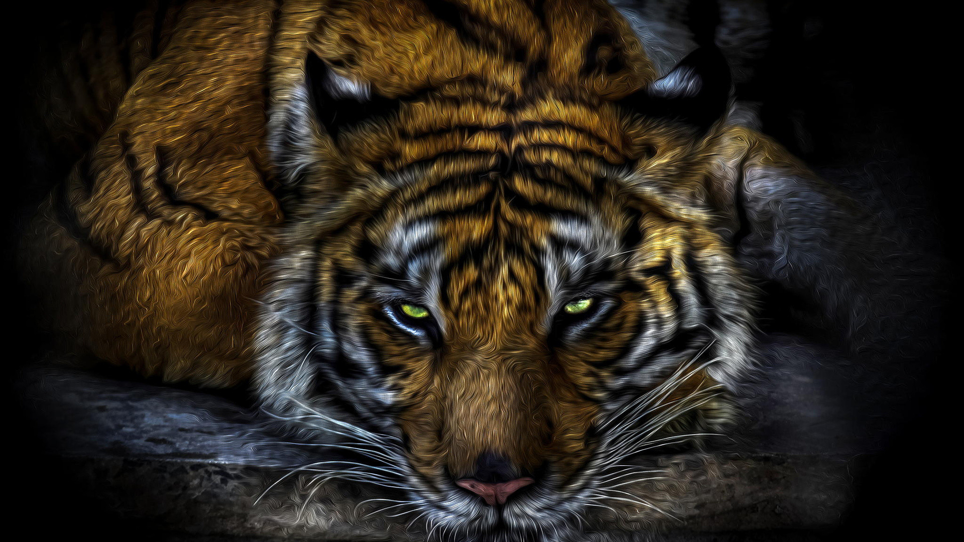 1920x1080 HD Wallpapers High Definition Wallpapers amp Desktop Â· cool wallpapers tiger  ...