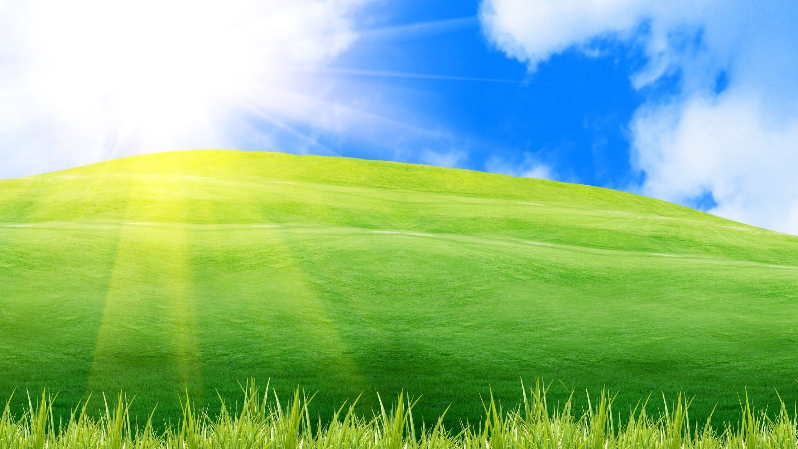2560x1440 Custom HDQ Sunny Day Wallpapers and Pictures (781551407, )
