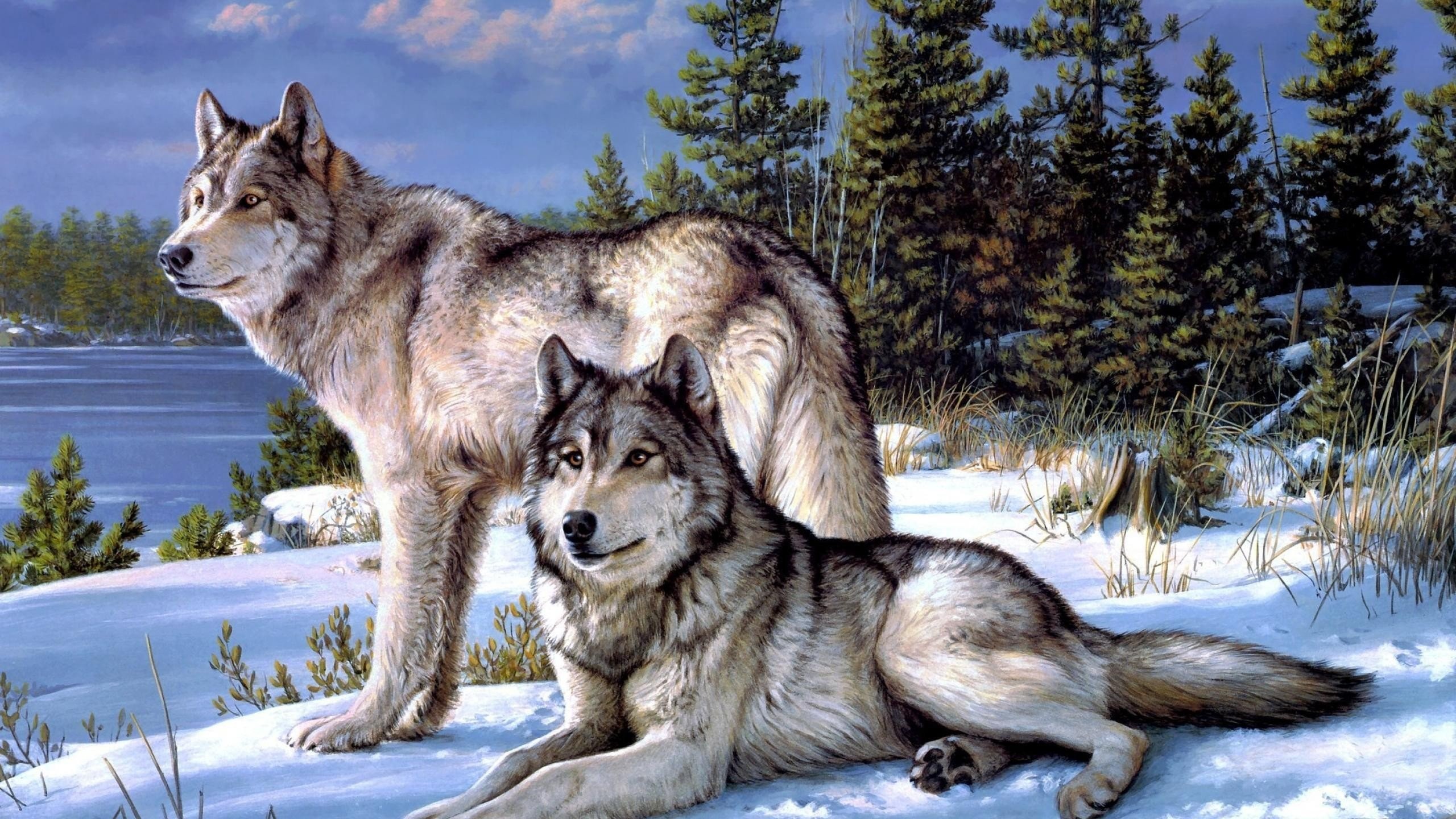 2560x1440 Pair Of Wolves