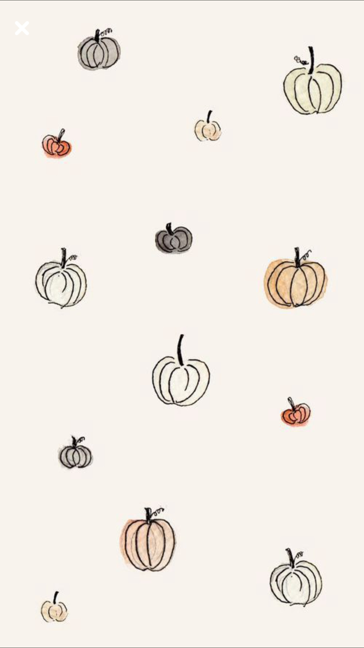 1242x2208 Minimalist - Fall and Autumn colored pumpkins - smartphone wallpaper