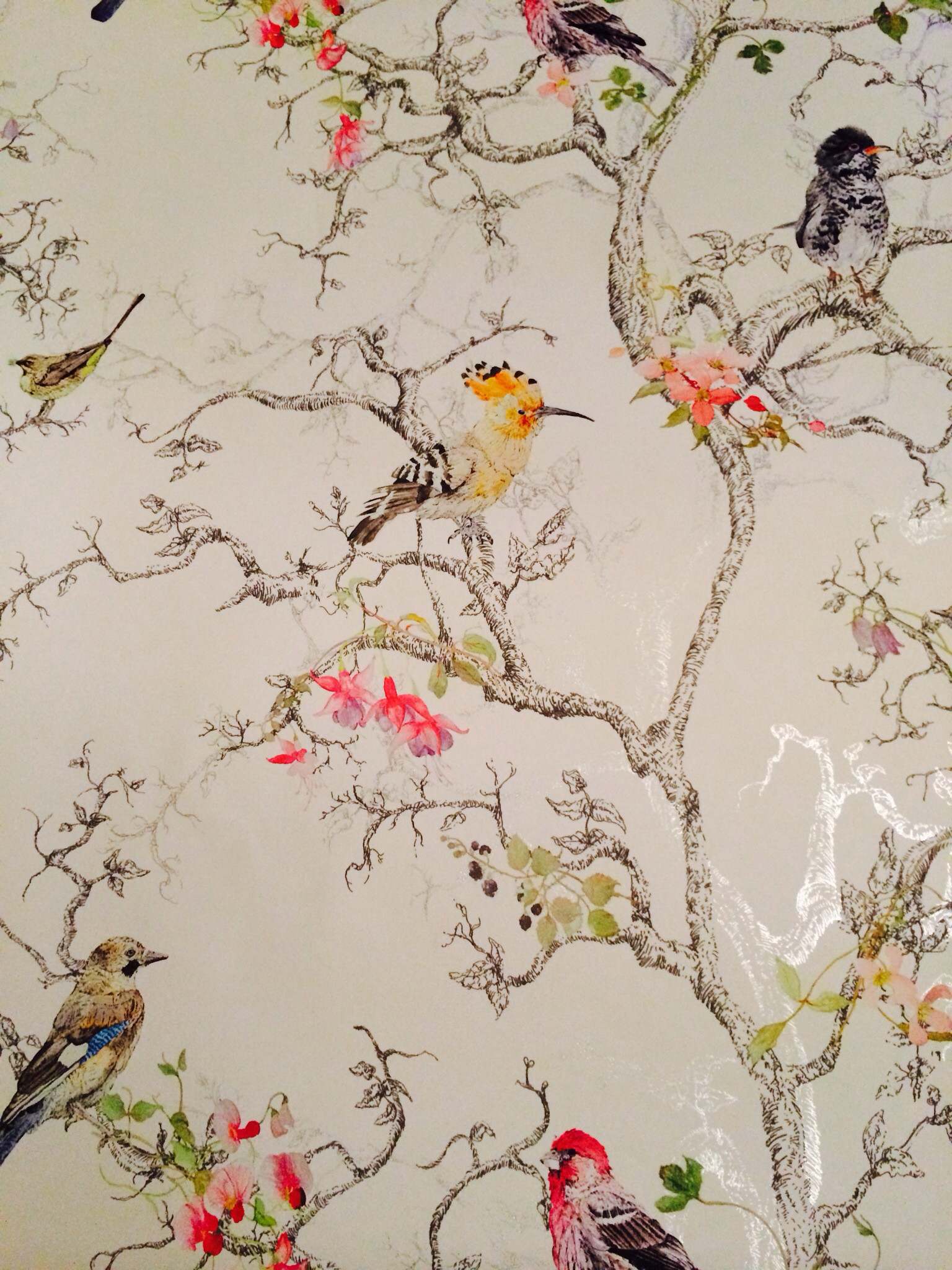 1536x2048 BQ-wallpaper-birds.-I-love-this-one-neeeeeeeeeeeeed