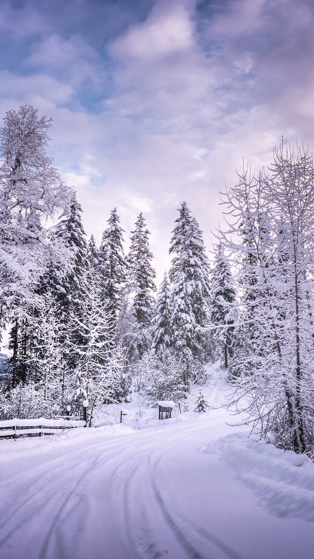 1080x1920 winter-road-snow-trees-white-d5.jpg