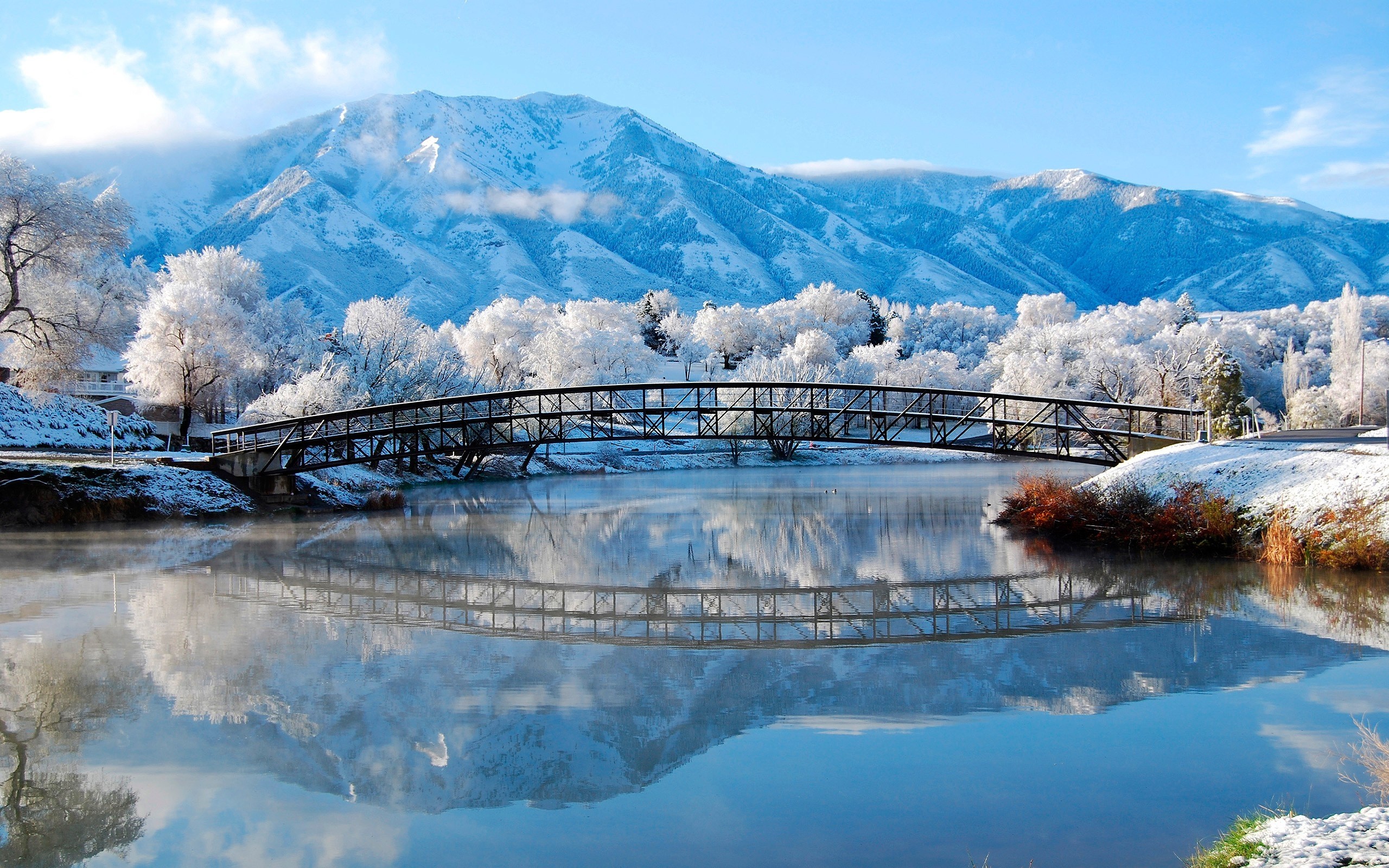 2560x1600 Winter Wallpapers Desktop Background with Wallpaper High Resolution   px 2.14 MB