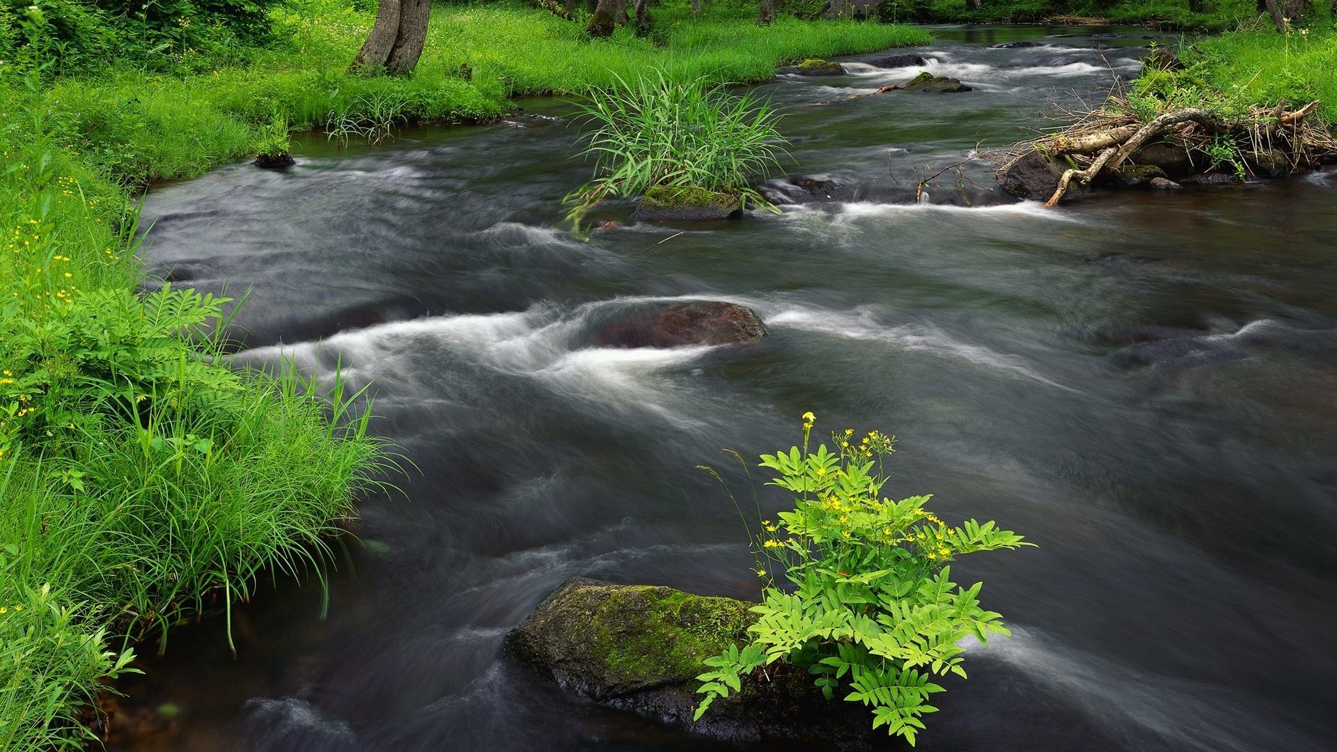 1920x1080 FOREST STREAM JAPAN Landscape Japanese Digital Scenery Photography HDR  Wallpaper - 1920x1440
