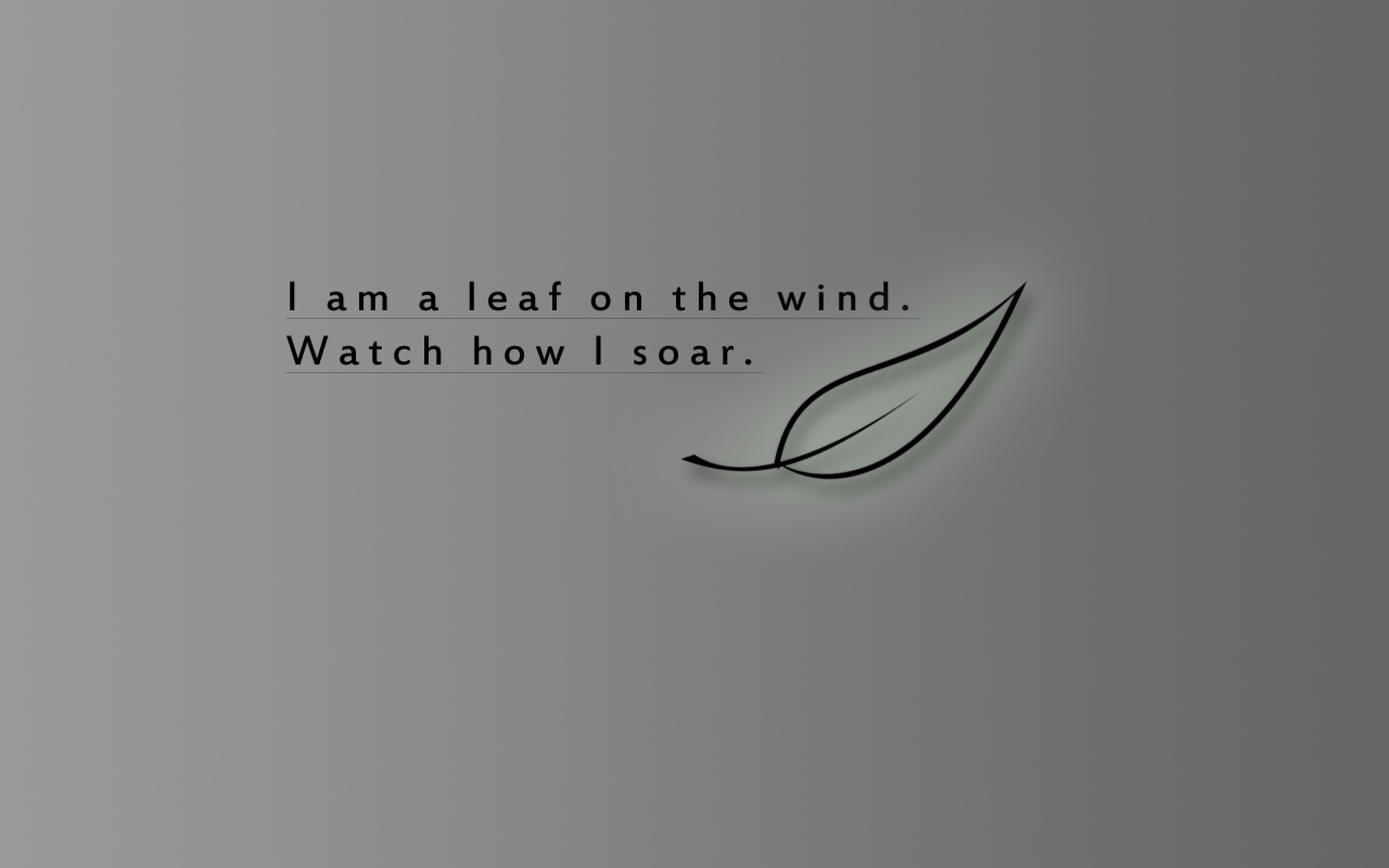 2560x1600 serenity leaf quotes wind firefly fly watches Wallpaper HD | come .
