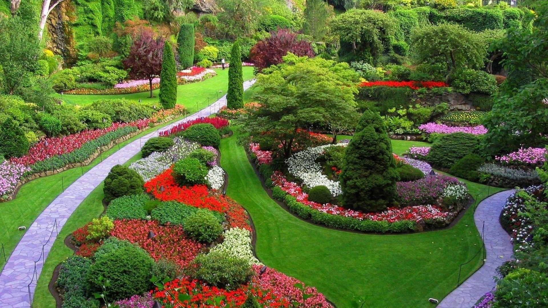 1920x1080 Colorful Flowers and Trees Garden Wallpaper
