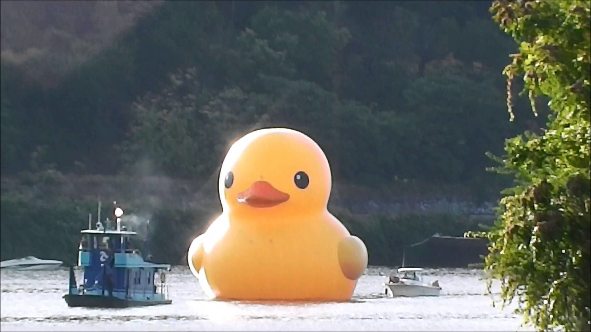 1920x1080 Rubber Duck sails into Pittsburgh