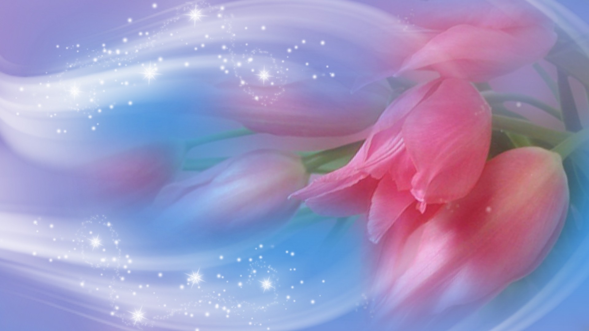 1920x1080 #AA4455 Color - Pink Romantic Flower Cute Pretty Blue Wallpapers High  Resolution for HD 16